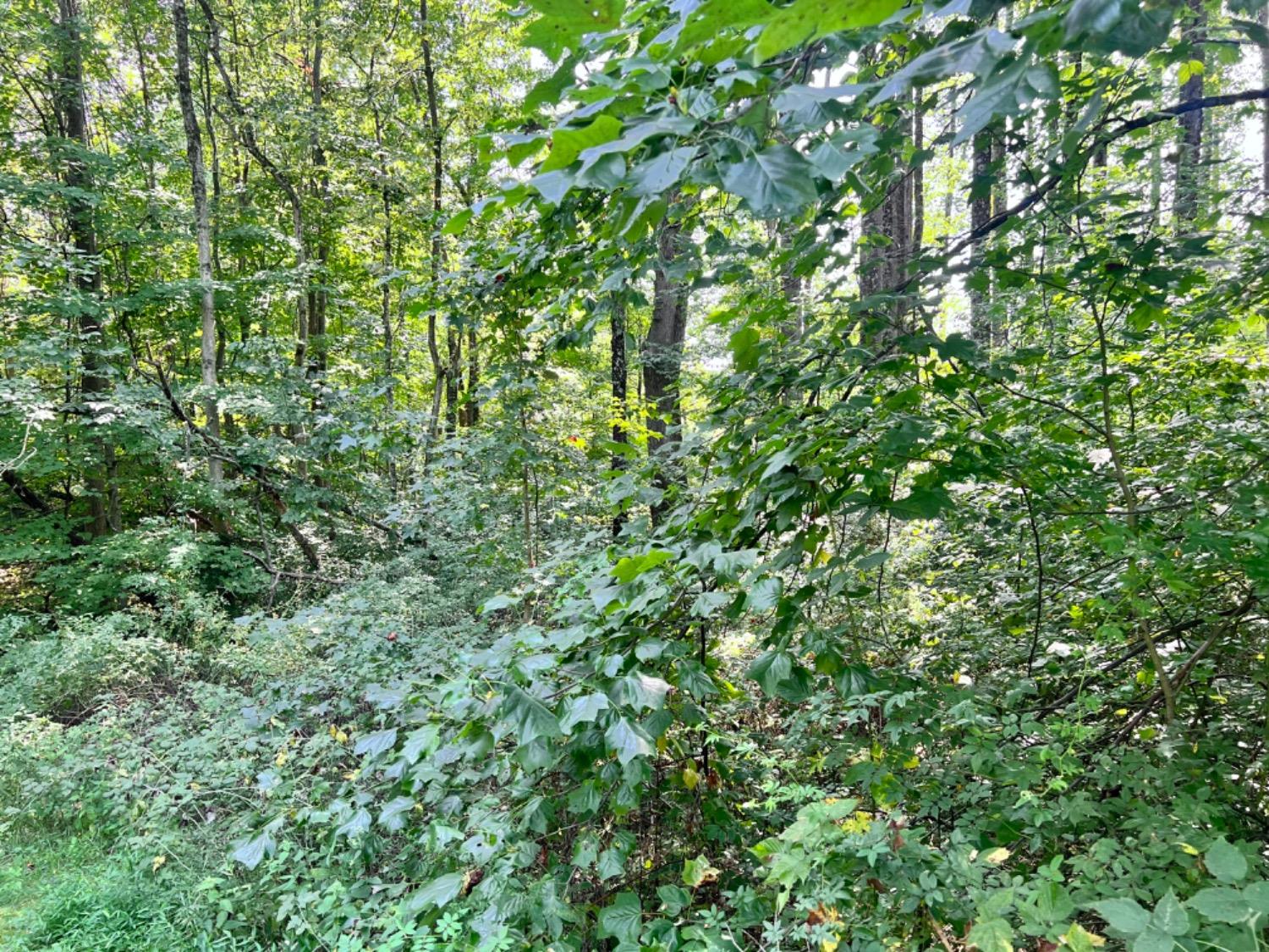 432 East Fairground Road Osgood, IN 47037 - Photo 11 of 40