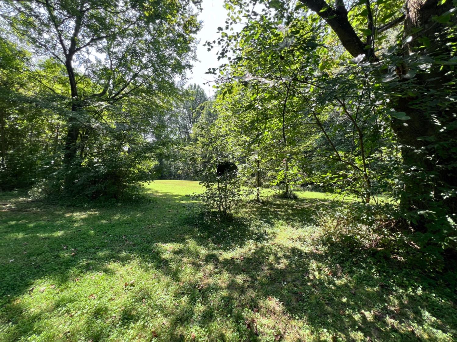 432 East Fairground Road Osgood, IN 47037 - Photo 9 of 40