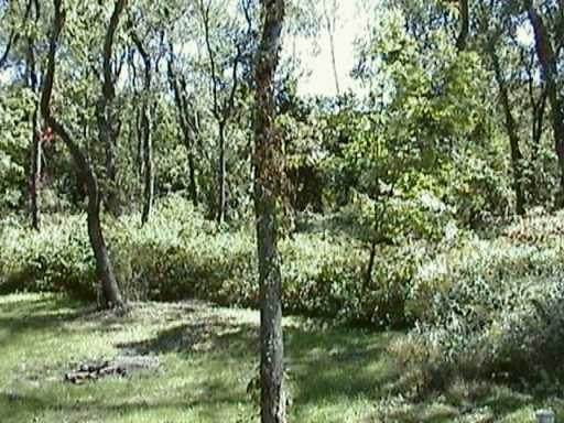 512 Shaffer Road Bulger, PA 15019 - Photo 6 of 8
