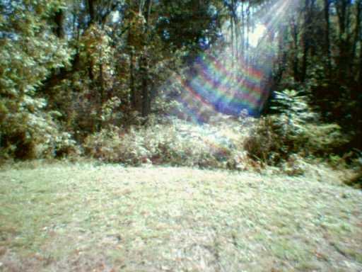 512 Shaffer Road Bulger, PA 15019 - Photo 8 of 8