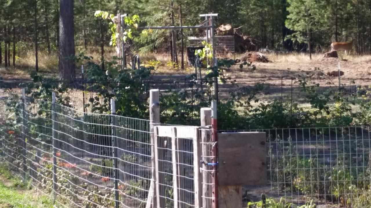 2701 West Bridges Road Deer Park, WA 99006 - Photo 5 of 16 Gallery Image 5