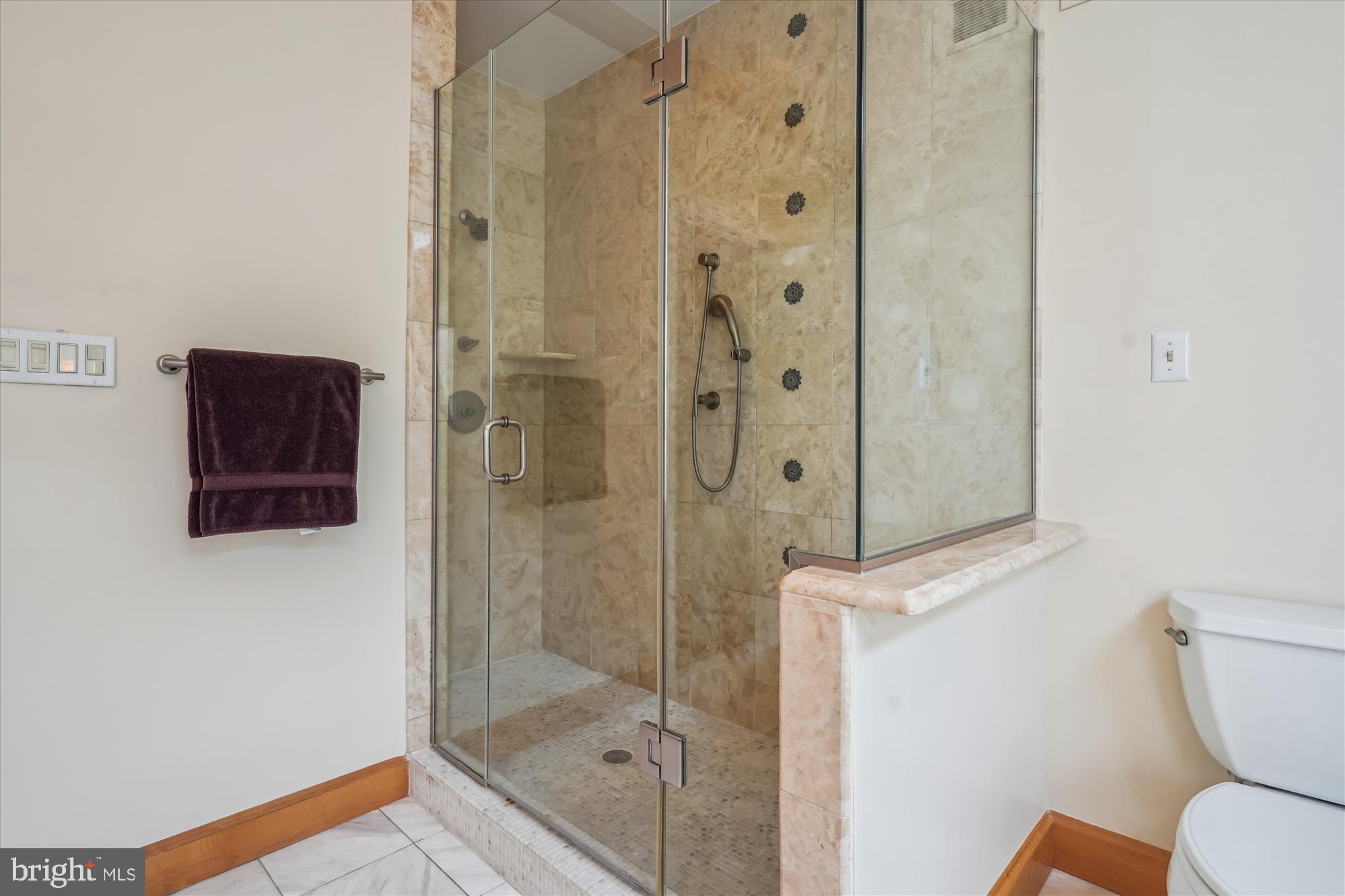 6100 Solitaire Way McLean, VA 22101 - Photo 24 of 60 a bathroom with a shower and a toilet