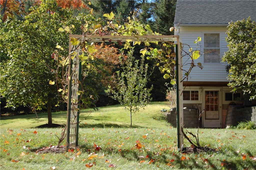 253 Blackstrap Road Falmouth, ME 04105 - Photo 31 of 33 Grow your own grapes!