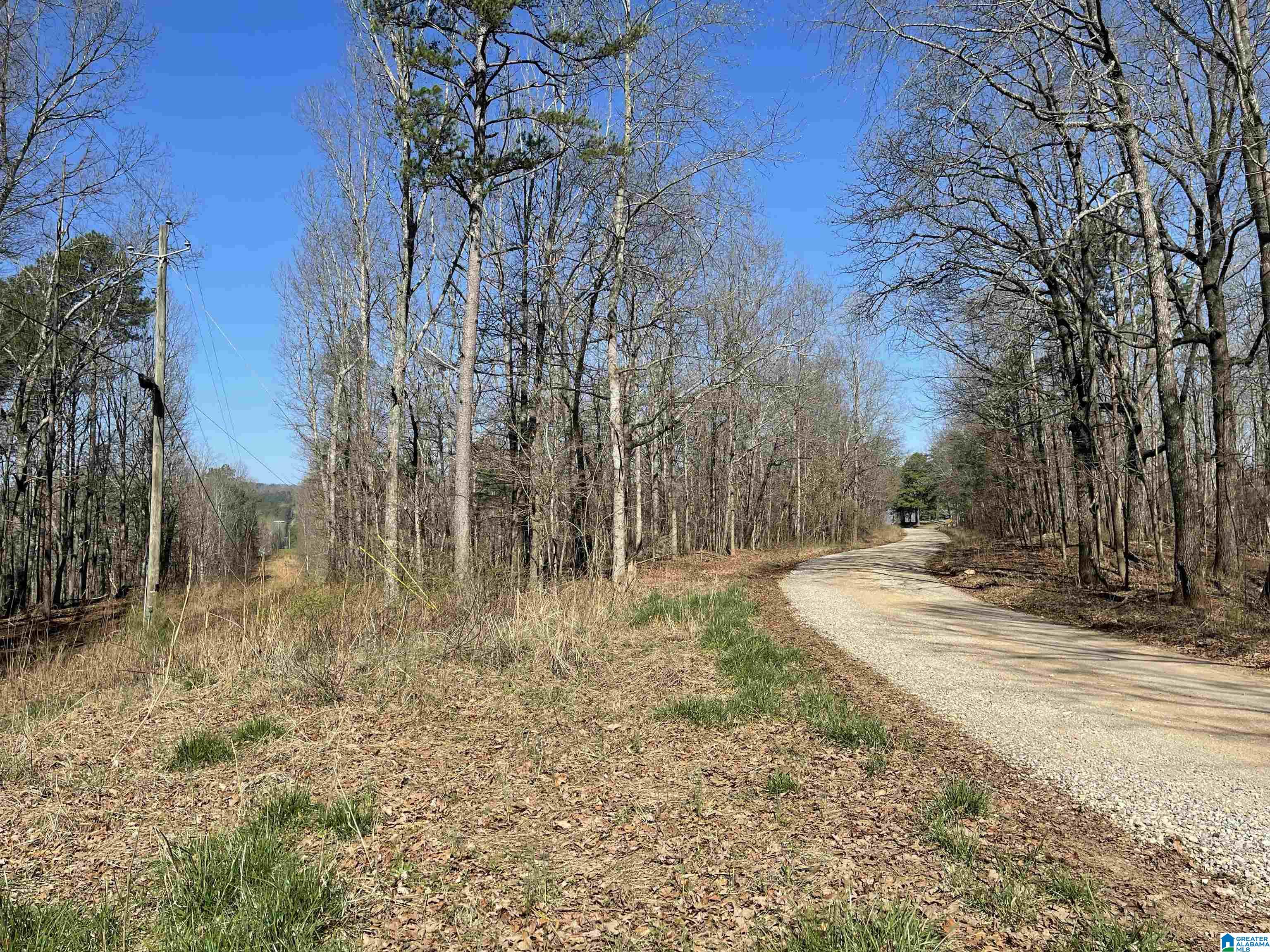 0 County Road 852, Unit 3 Ranburne, AL 36273 - Photo 15 of 23