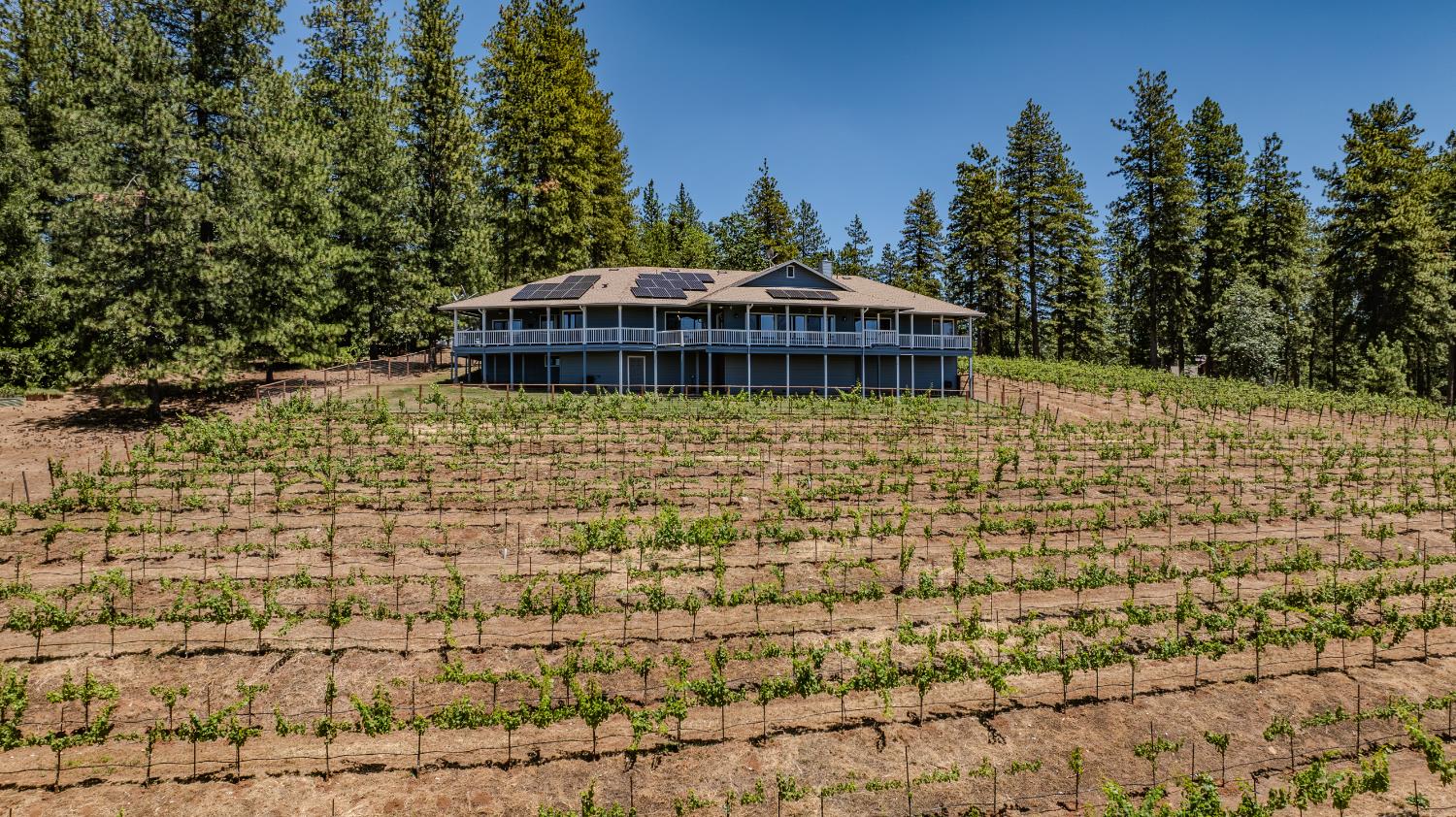 18591 Ponderosa Hills Road Volcano, CA 95689 - Photo 34 of 92