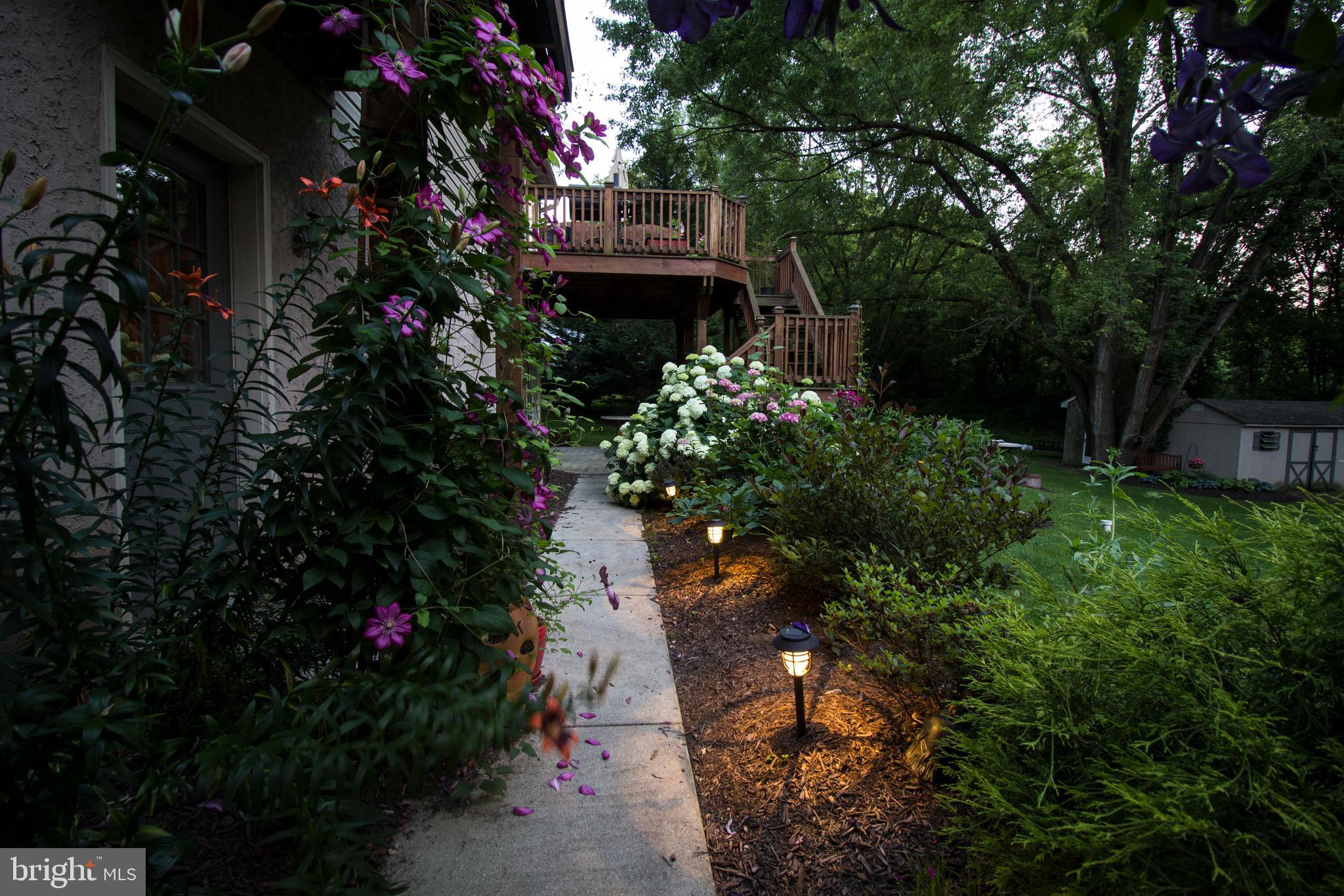 60 Covered Bridge Road Pequea, PA 17565 - Photo 5 of 32 Gorgeous landscaping all around