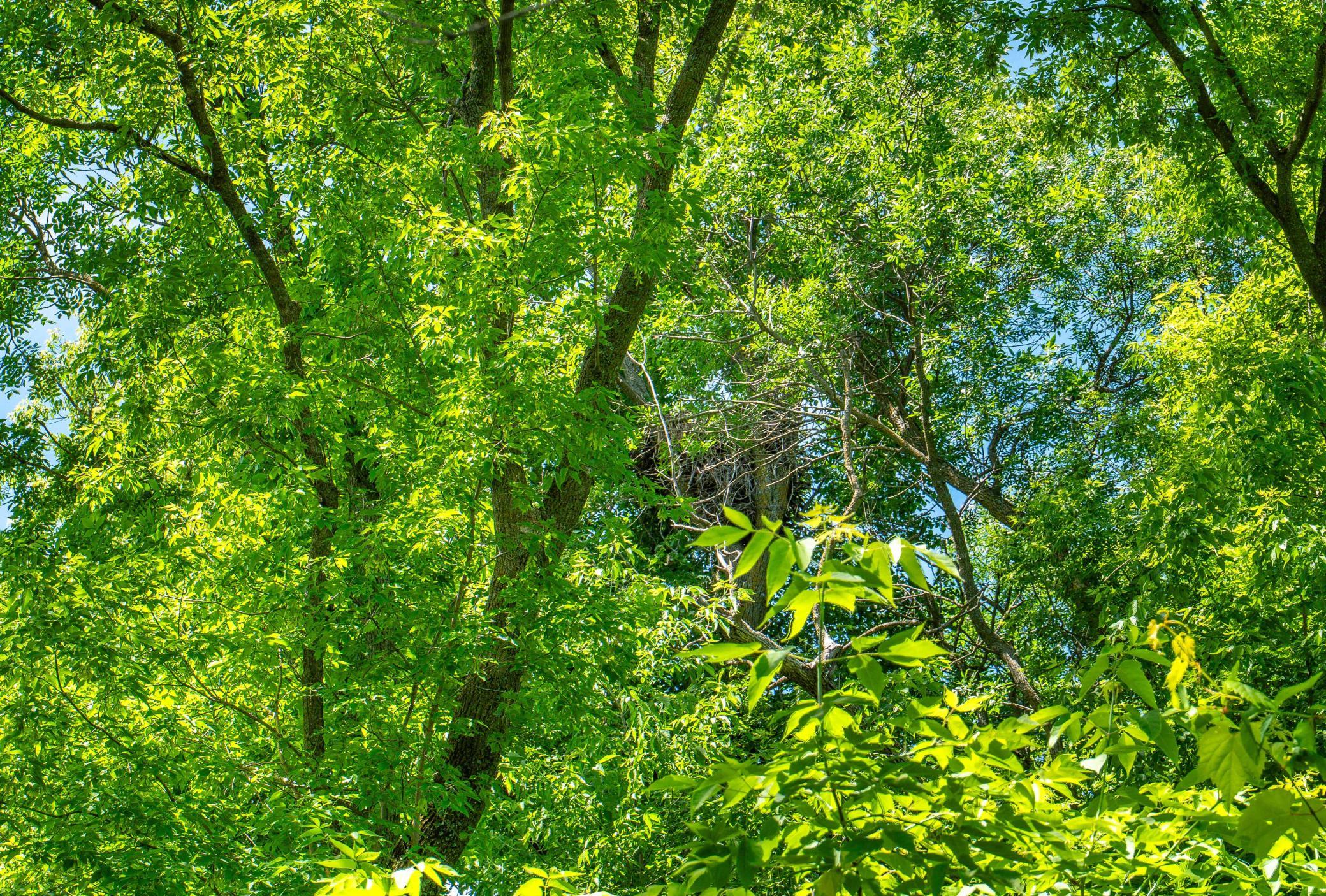 37598 2nd Star Isle Dent, MN 56528 - Photo 54 of 73