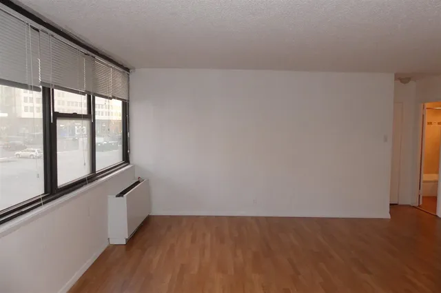 a view of an empty room and wooden floor