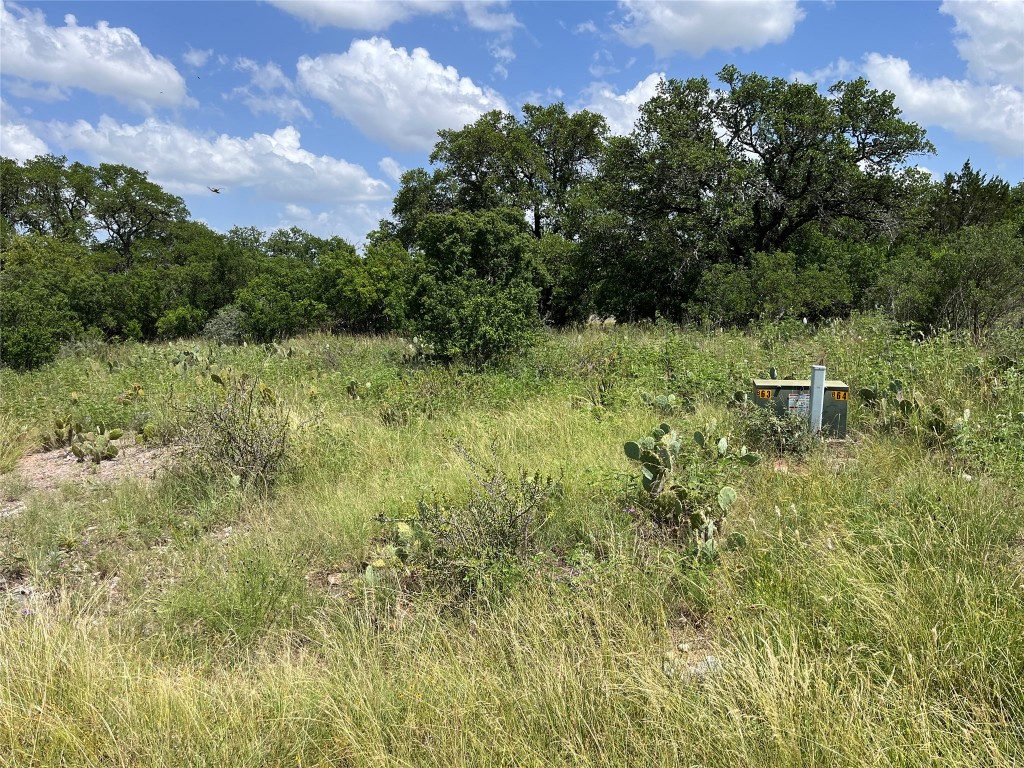 1105 Ute Road Horseshoe Bay, TX 78657 - Photo 6 of 11 a view of a garden
