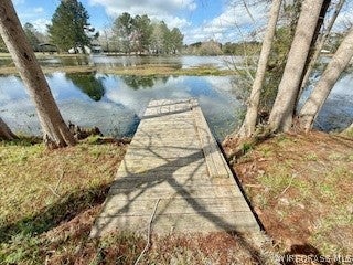 26051 Bush Isle Road Andalusia, AL 36421 - Photo 50 of 61 Gallery Image 50