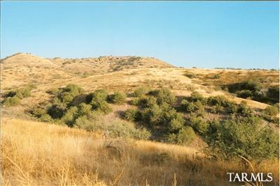 13 East Sonoita Springs Ranch Road Patagonia, AZ 85624 - Photo 3 of 5