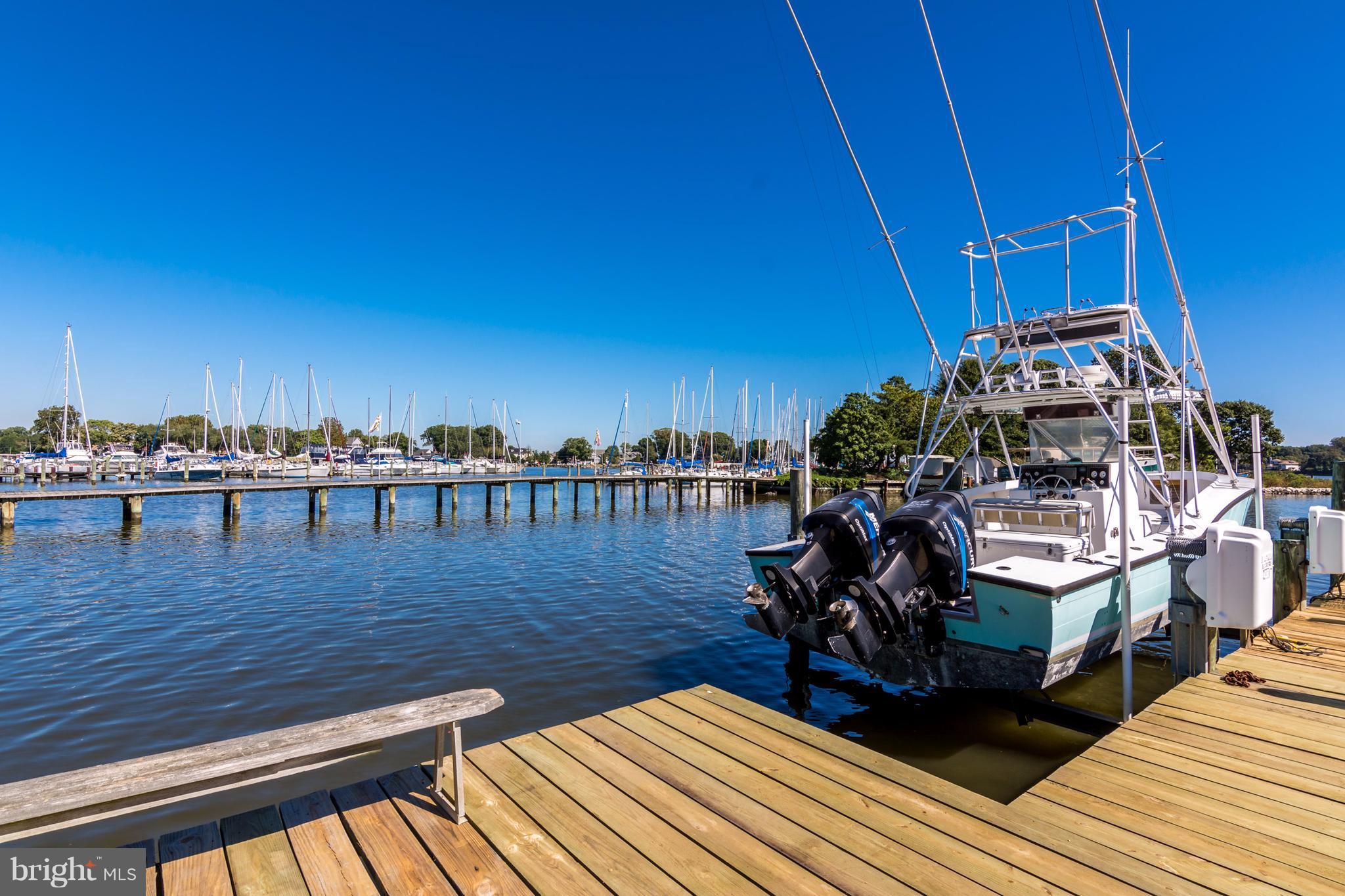 8087 Ventnor Road Pasadena, MD 21122 - Photo 15 of 30 Boat lift