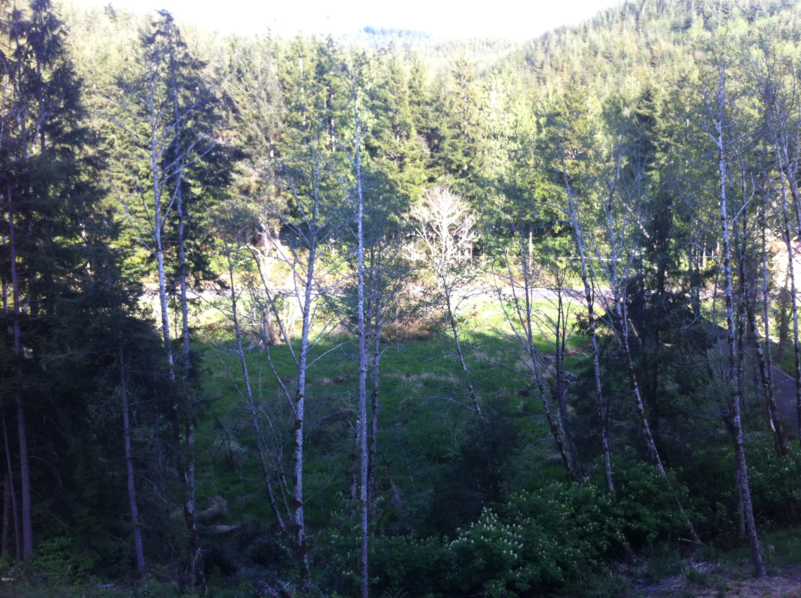 401 South Anderson Creek Road Lincoln City, OR 97367 - Photo 13 of 16 062