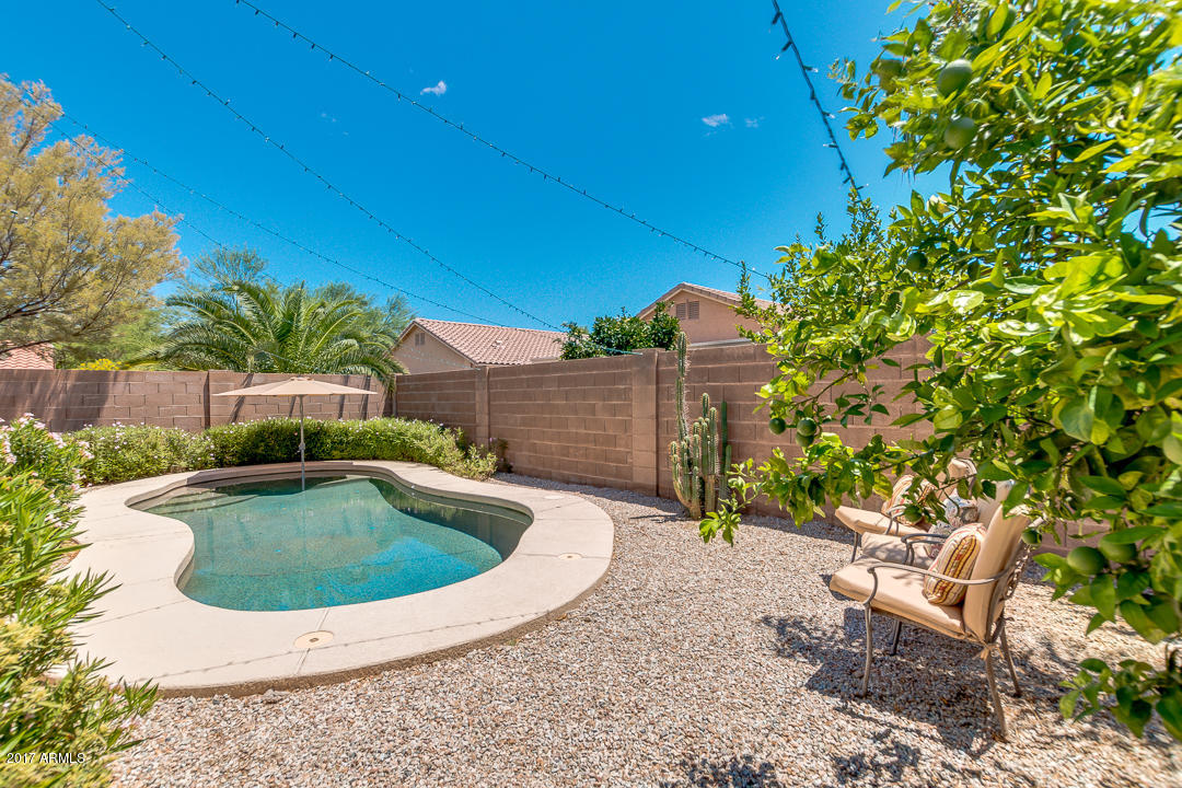 3251 West Tanner Ranch Road Queen Creek, AZ 85144 - Photo 28 of 33 41-Tanner Ranch
