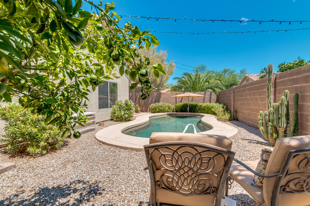 3251 West Tanner Ranch Road Queen Creek, AZ 85144 - Photo 29 of 33 42-Tanner Ranch