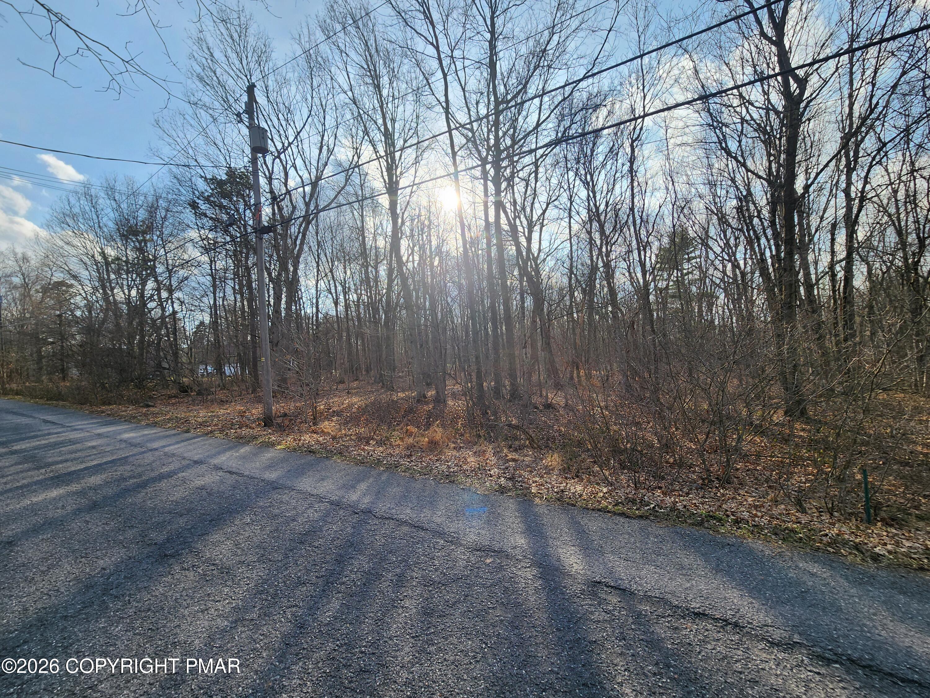 Lot G489 Panther Run Road Jim Thorpe, PA 18229 - Photo 3 of 5 a backyard of a house
