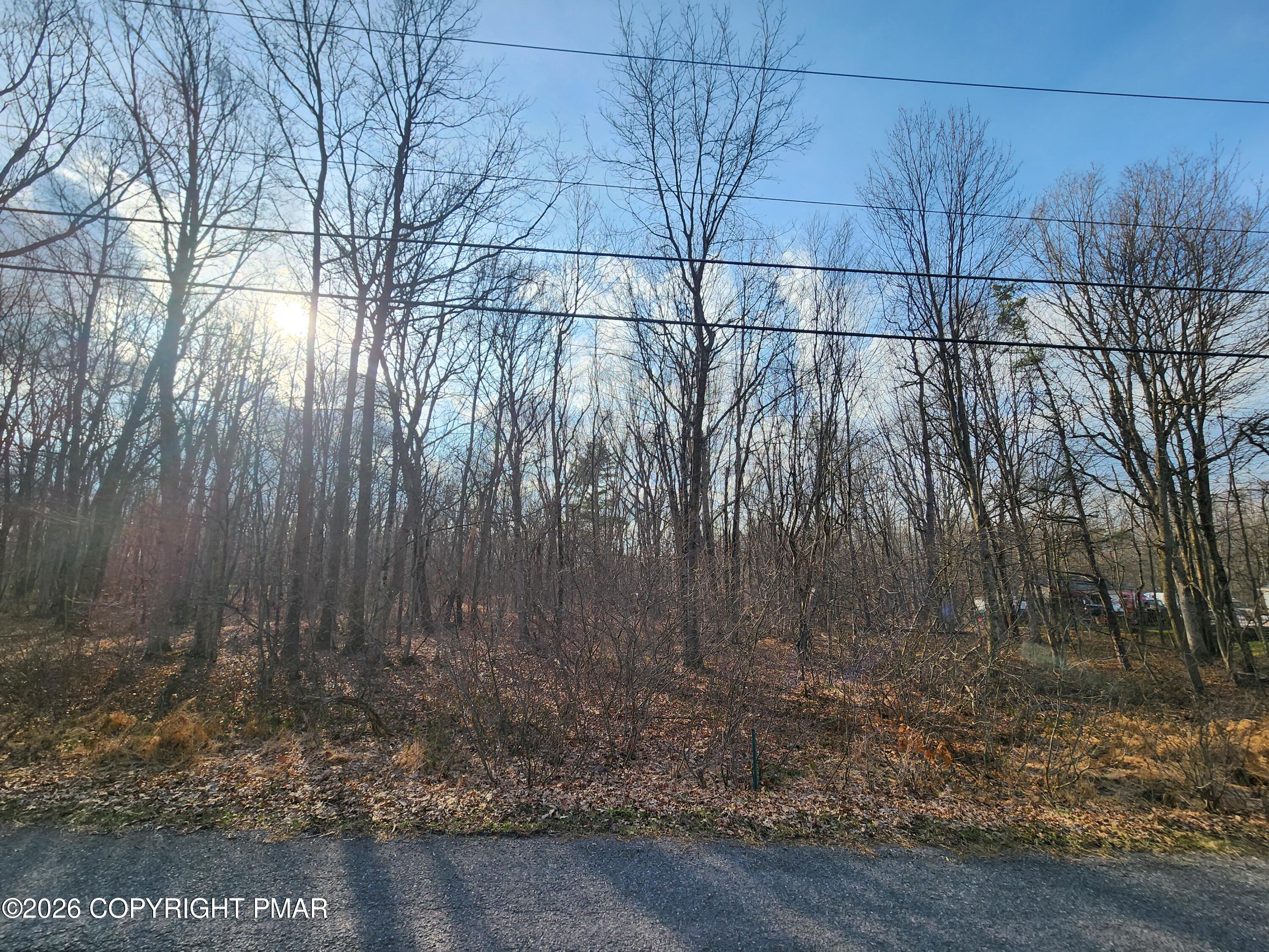 Lot G489 Panther Run Road Jim Thorpe, PA 18229 - Photo 5 of 5 a view of a backyard of the house