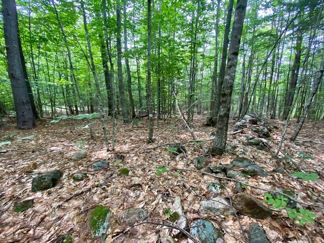 0 Richardson Road Limington, ME 04049 - Photo 13 of 15 IMG_3268
