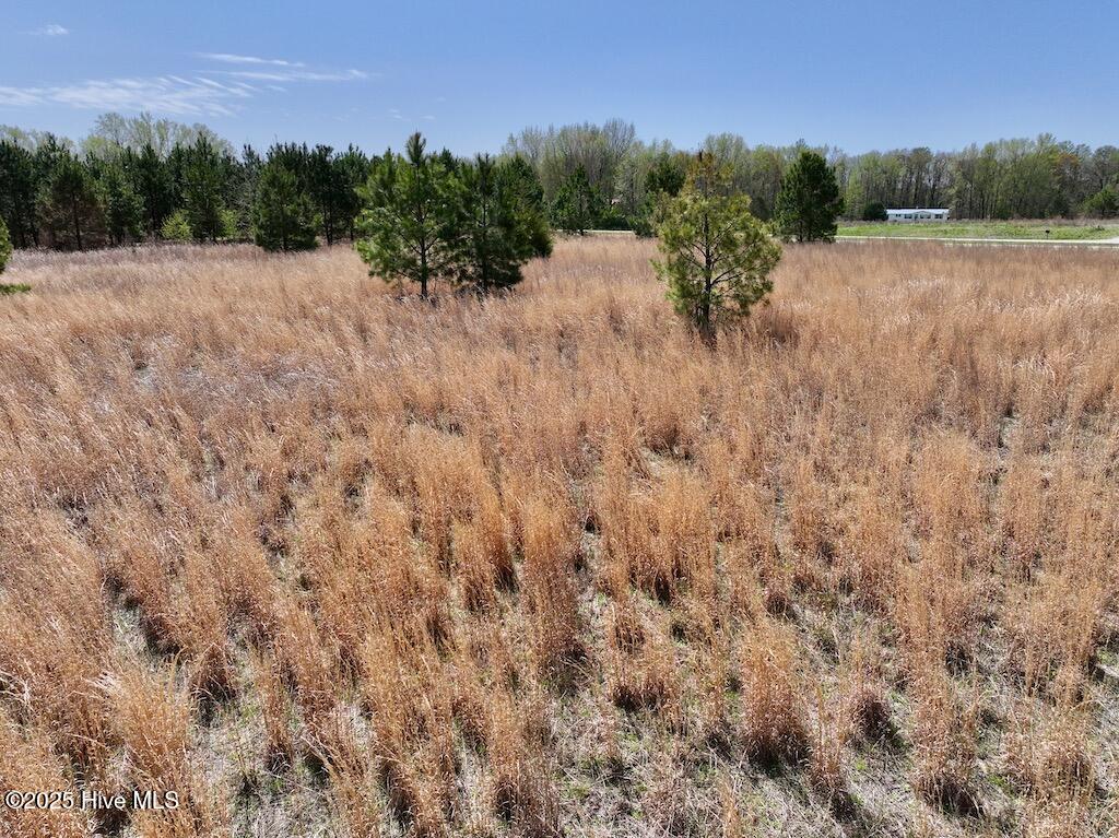 0 Old Washington Road Washington, NC 27889 - Photo 27 of 37 26