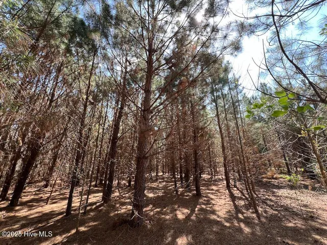 $2,200,000 | 0 Old Washington Road, Washington, NC 27889