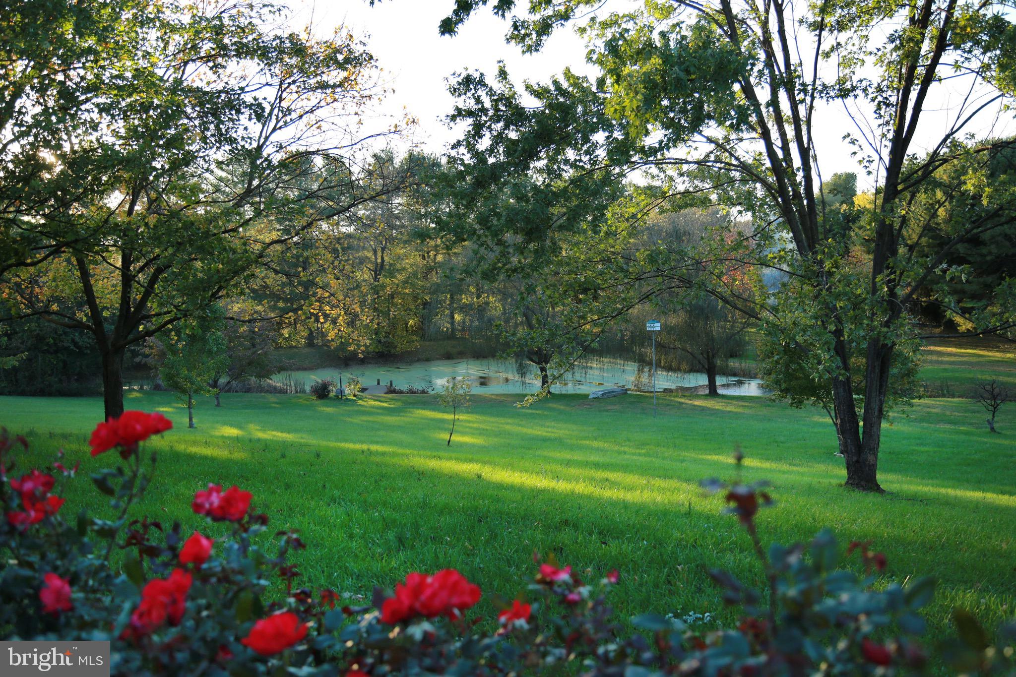 13160 Chestnut Fork Road Culpeper, VA 22701 - Photo 11 of 69 Front Yard