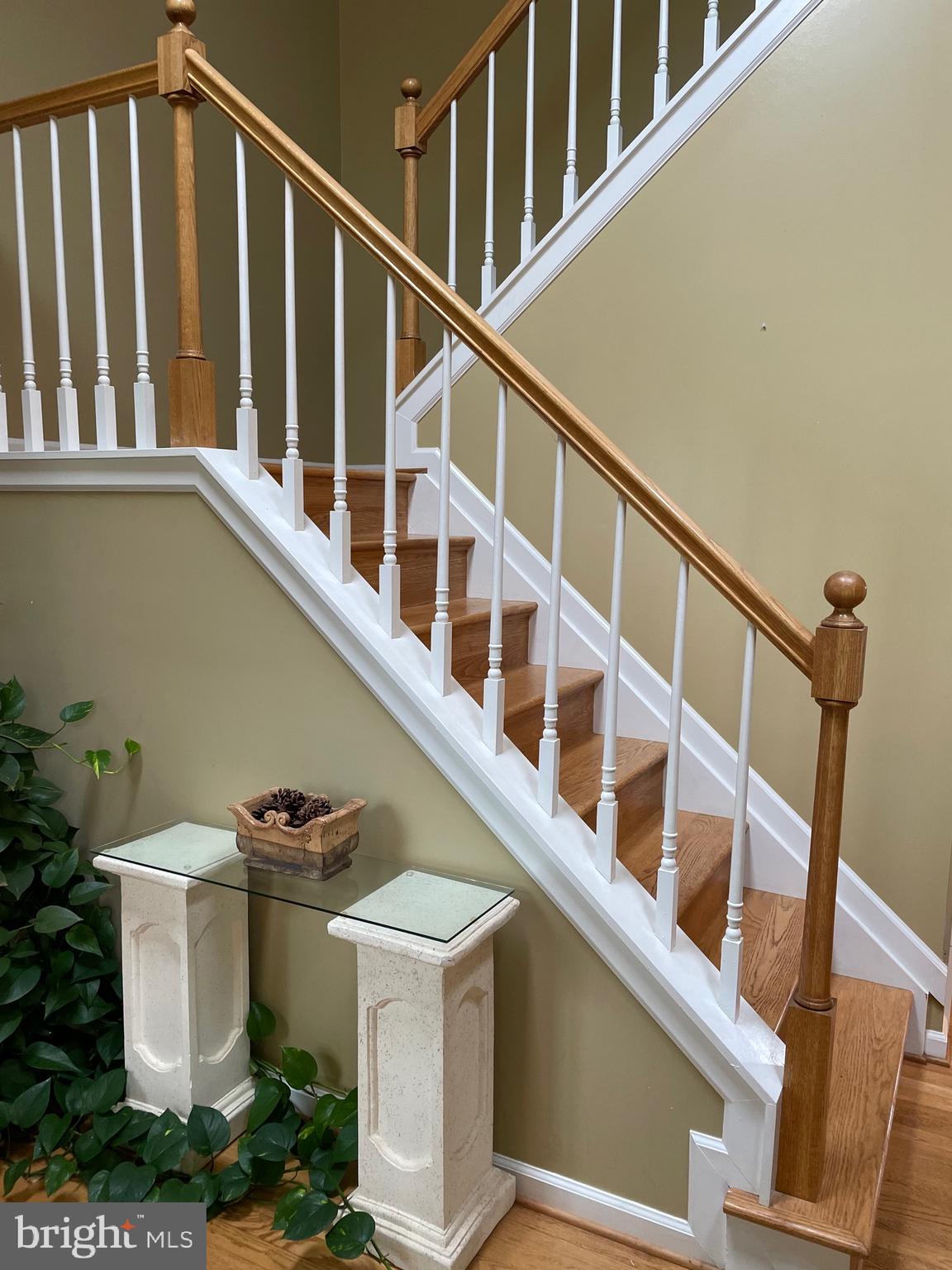 13160 Chestnut Fork Road Culpeper, VA 22701 - Photo 12 of 69 Entrance hall