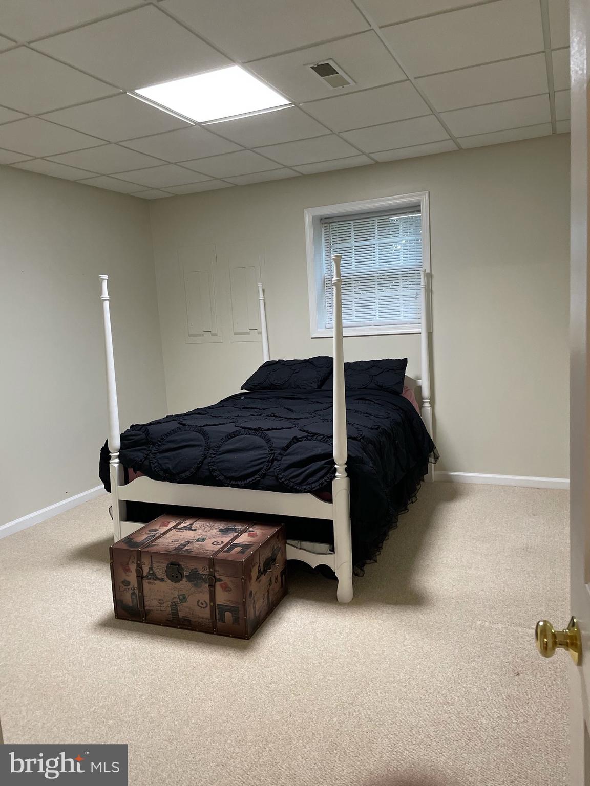 13160 Chestnut Fork Road Culpeper, VA 22701 - Photo 28 of 69 lower level bedroom