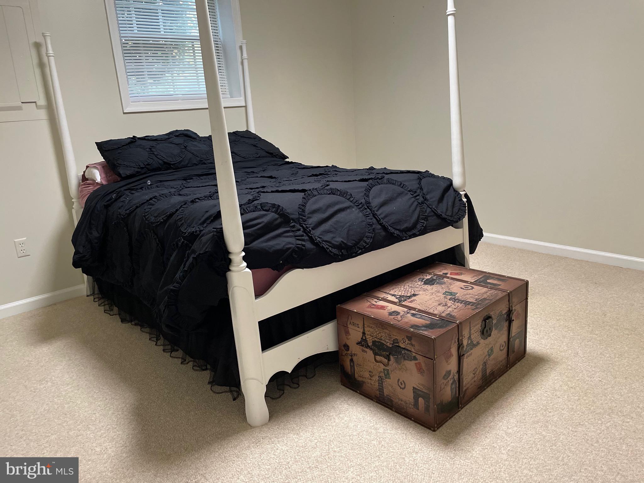 13160 Chestnut Fork Road Culpeper, VA 22701 - Photo 29 of 69 lower level bedroom