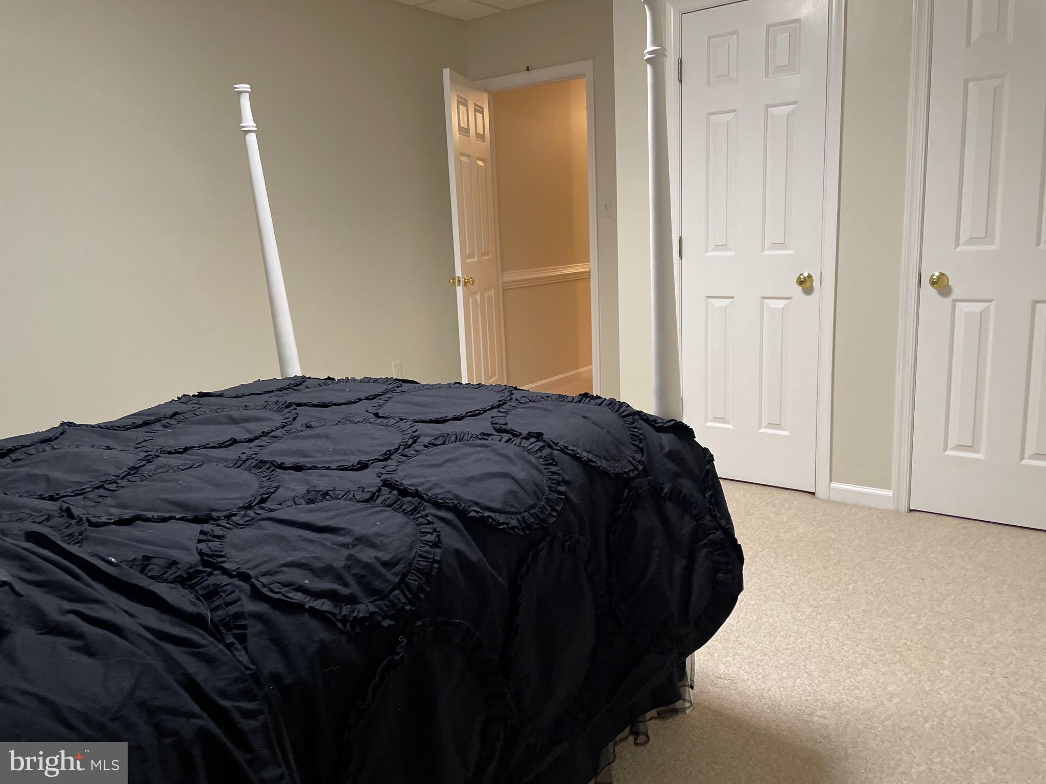 13160 Chestnut Fork Road Culpeper, VA 22701 - Photo 30 of 69 lower level bedroom