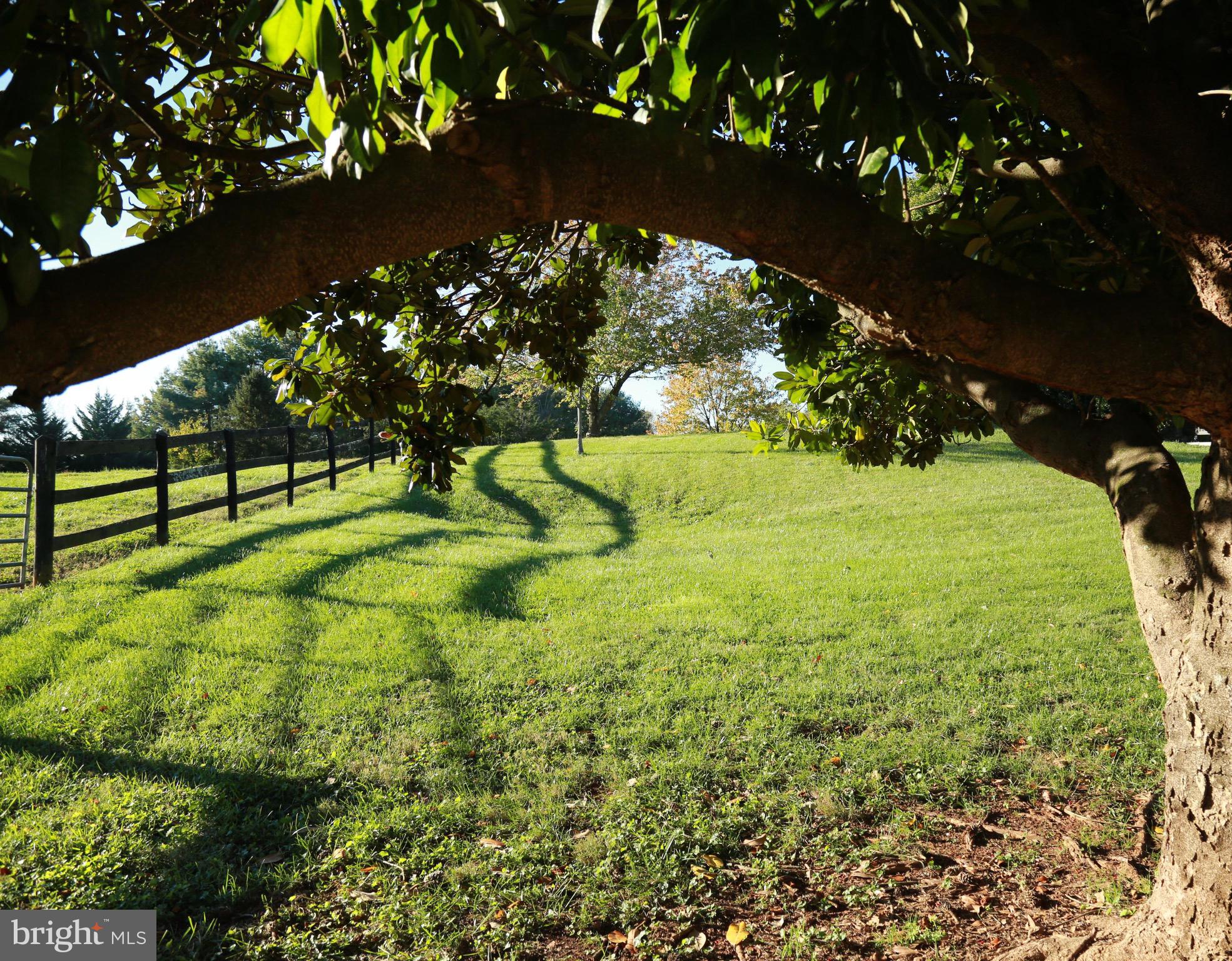 13160 Chestnut Fork Road Culpeper, VA 22701 - Photo 39 of 69 Gallery Image 39