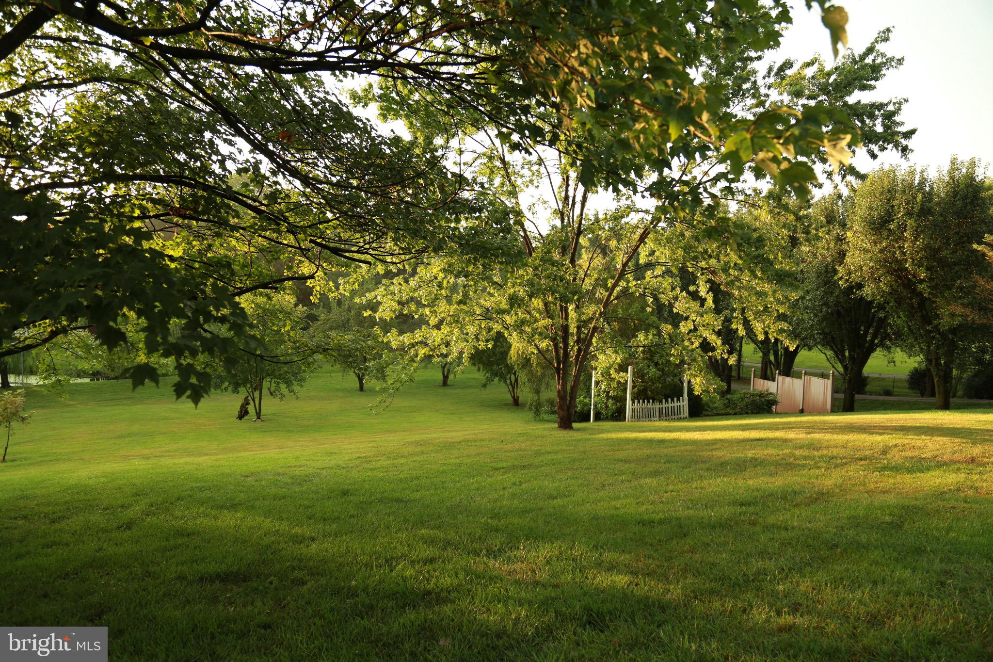 13160 Chestnut Fork Road Culpeper, VA 22701 - Photo 40 of 69 Gallery Image 40