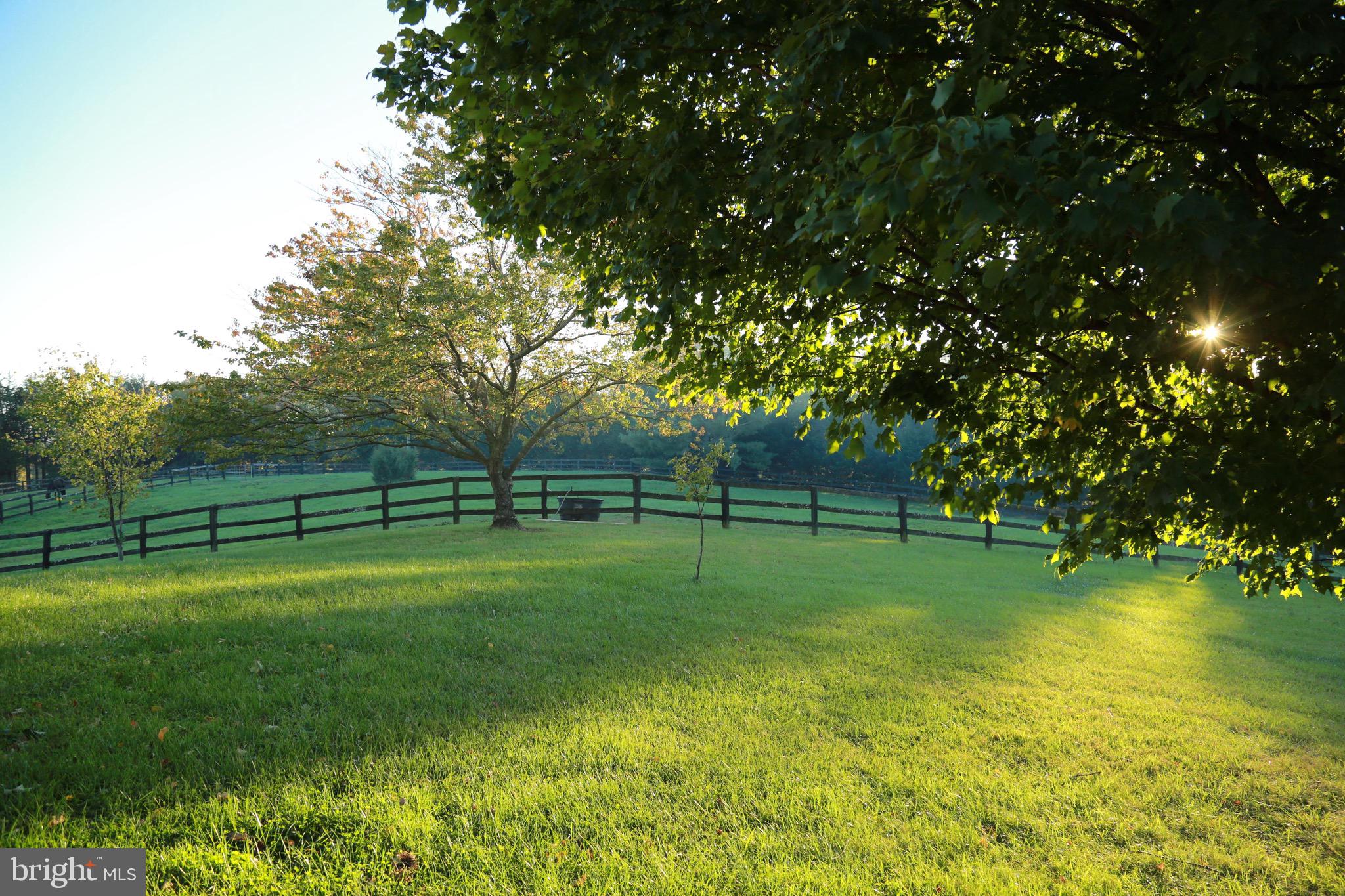 13160 Chestnut Fork Road Culpeper, VA 22701 - Photo 47 of 69 Gallery Image 47