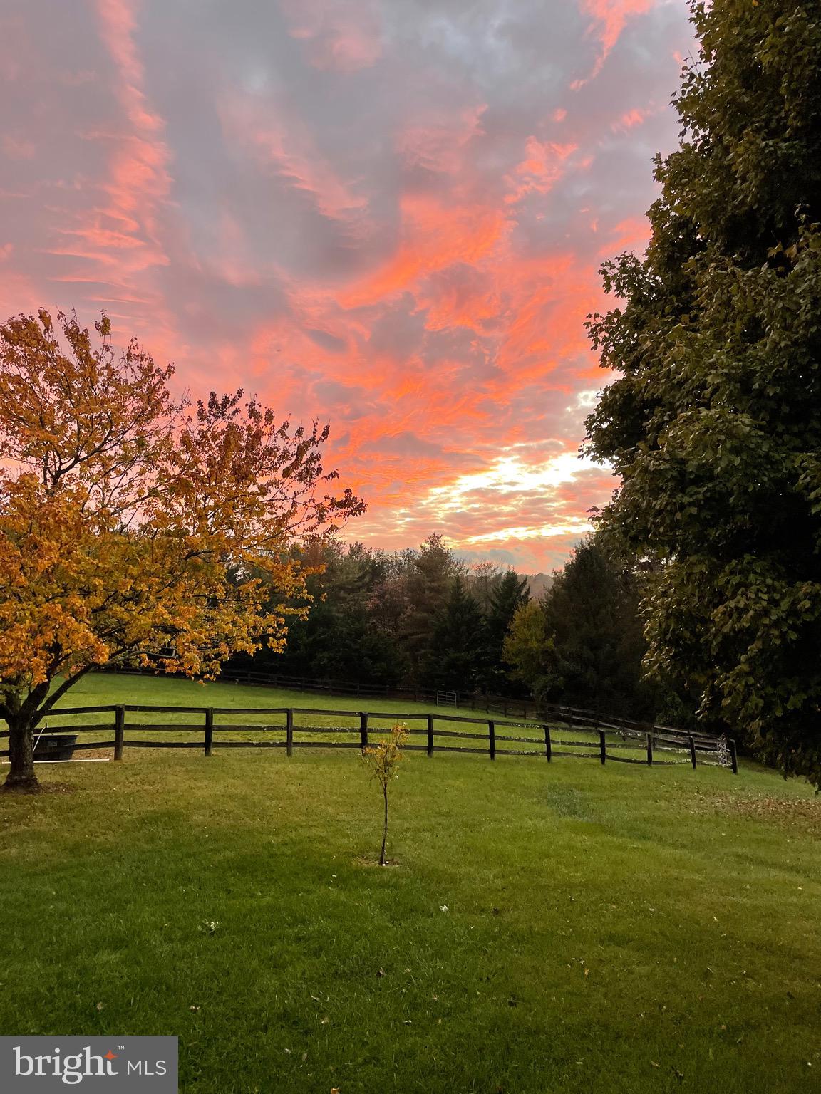 13160 Chestnut Fork Road Culpeper, VA 22701 - Photo 48 of 69 Evening view