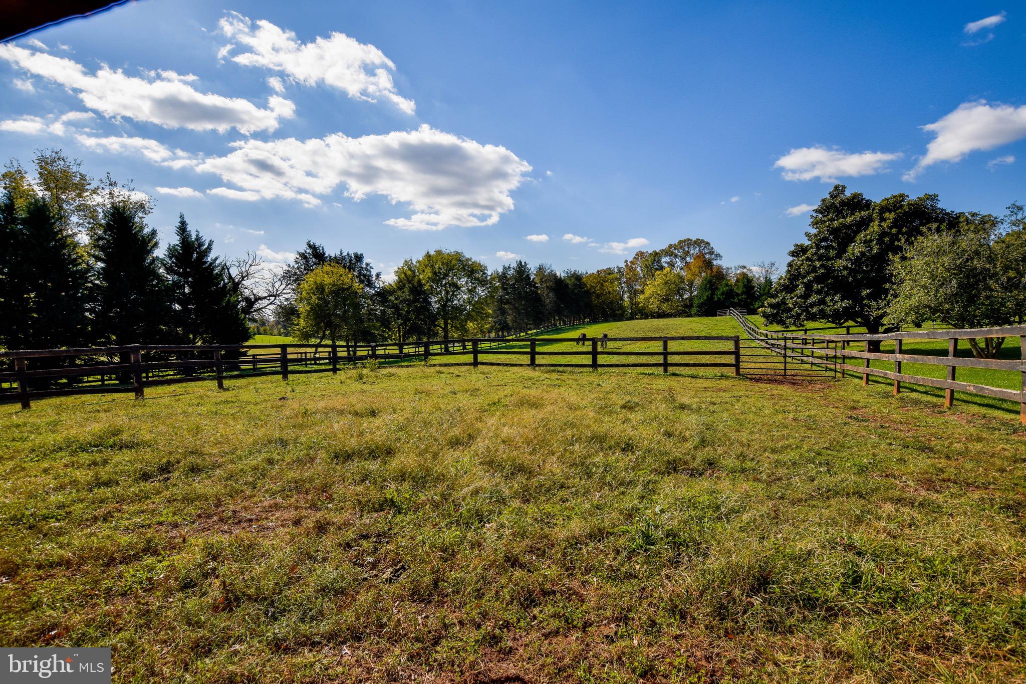 13160 Chestnut Fork Road Culpeper, VA 22701 - Photo 68 of 69 Gallery Image 68
