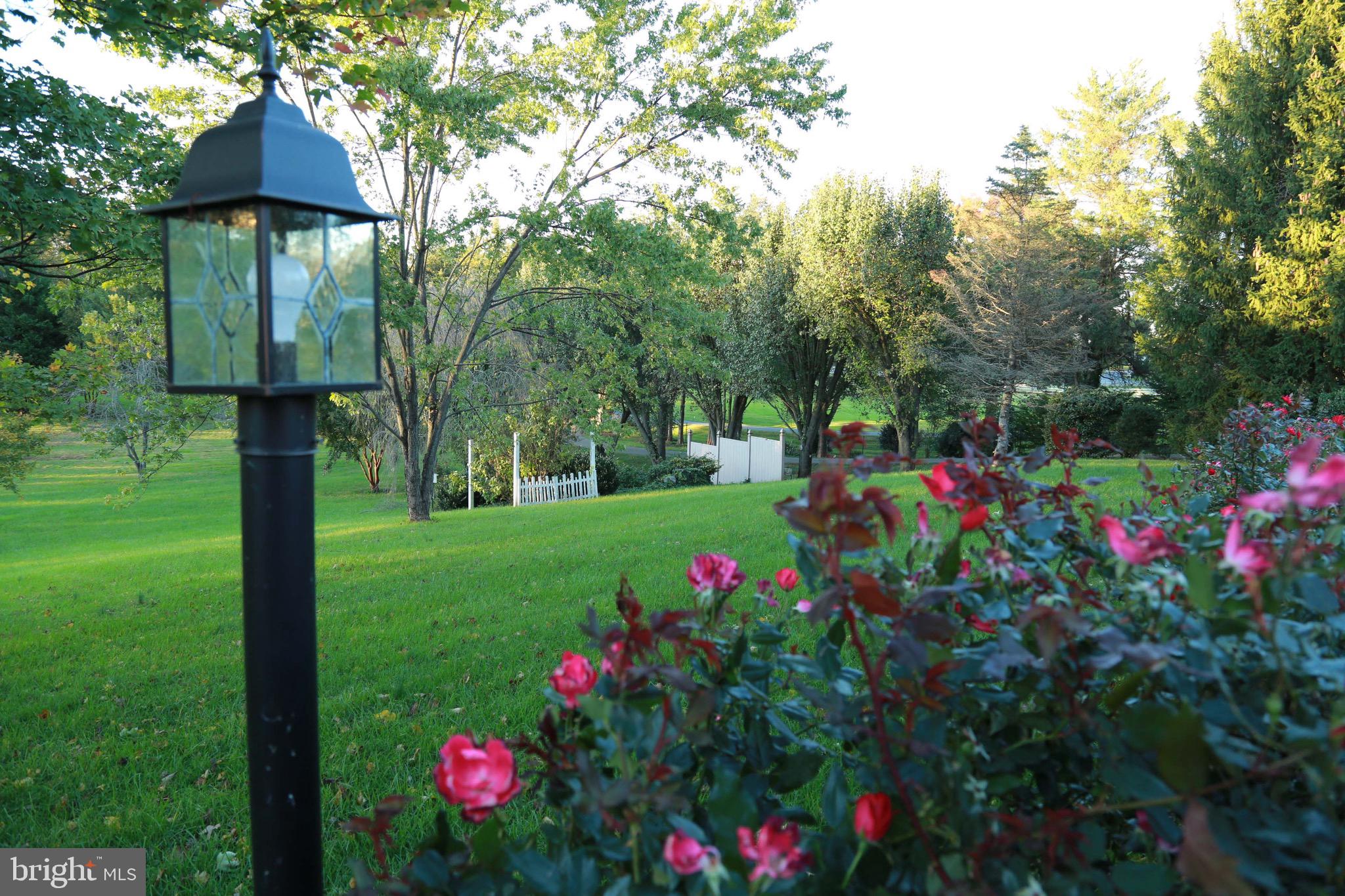 Entrance at sidewalk with view of pond