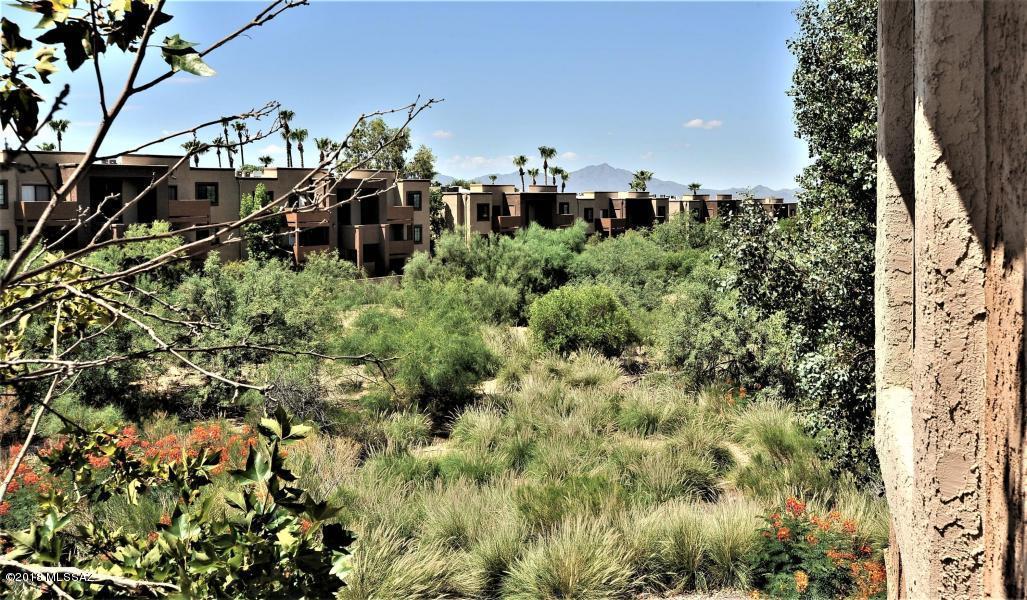 8263 North Oracle Road, Unit 237 Tucson, AZ 85704 - Photo 12 of 12 Gallery Image 12