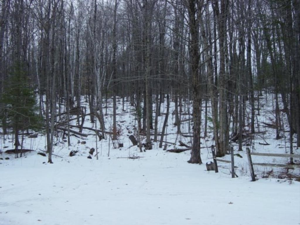 174 Bumfagon Road Loudon, NH 03307 - Photo 24 of 25