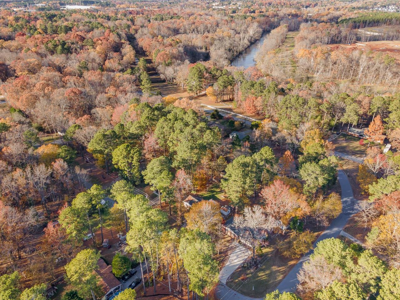 5917 Meadowlark Lane Raleigh, NC 27610 - Photo 22 of 24 a view of a plants