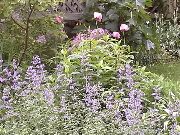 121 Colbourne Crescent Brookline, MA 02445 - Photo 28 of 30 Gallery Image 28