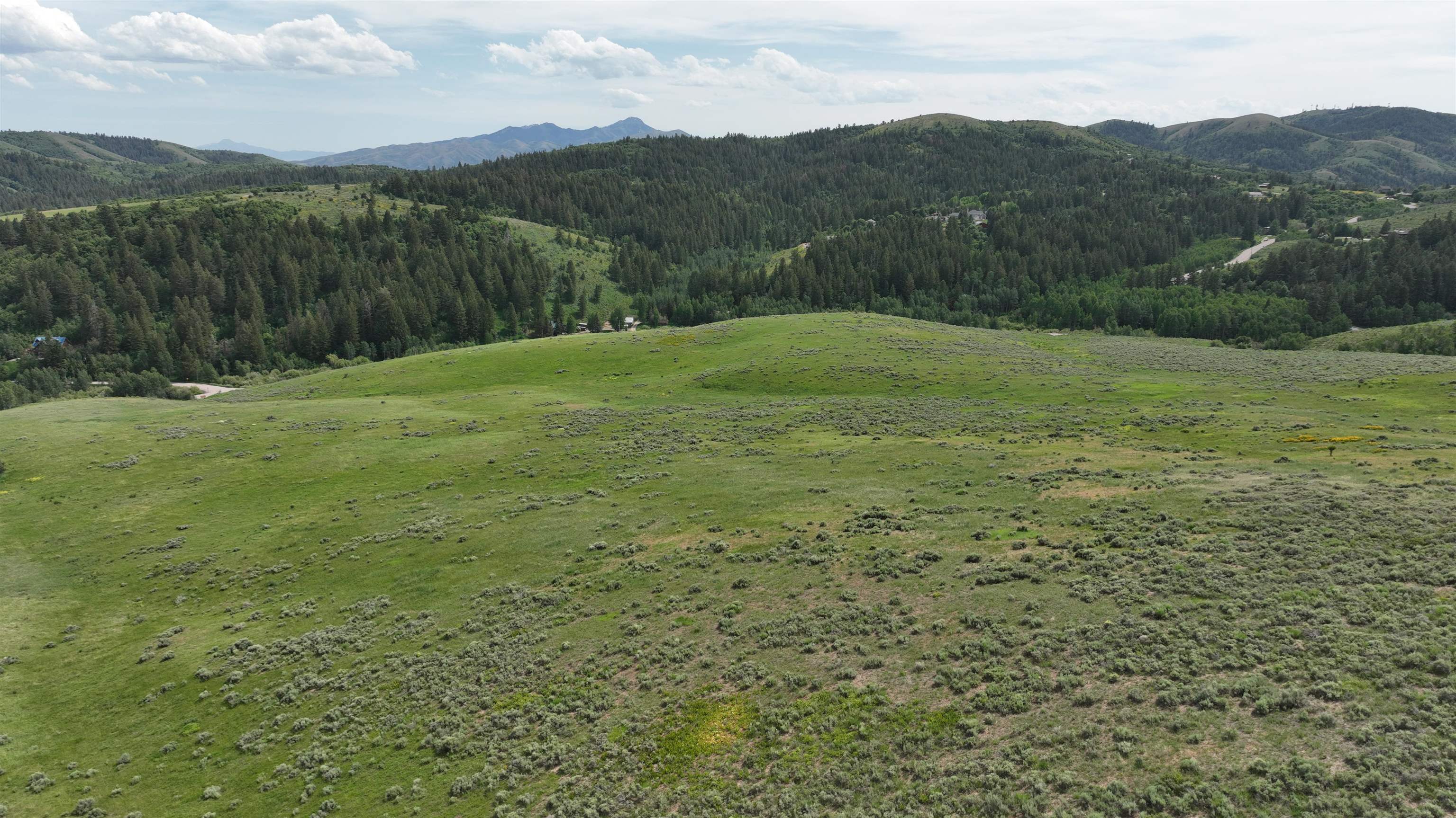 West Buckskin Road Pocatello, ID 83201 - Photo 3 of 41 Gallery Image 3