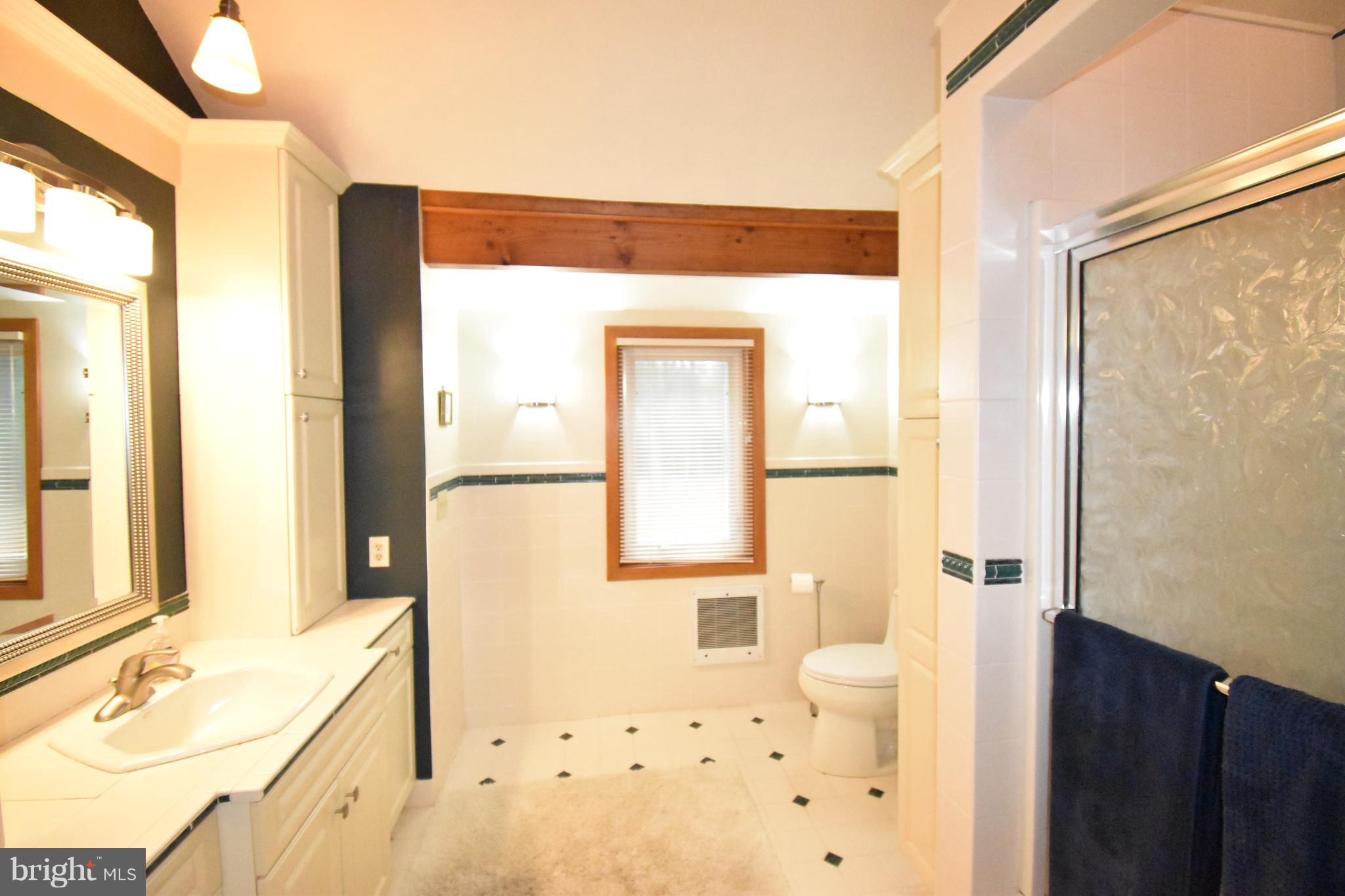 306 Sandy Hill Road Cambridge, MD 21613 - Photo 38 of 50 Master Bath
