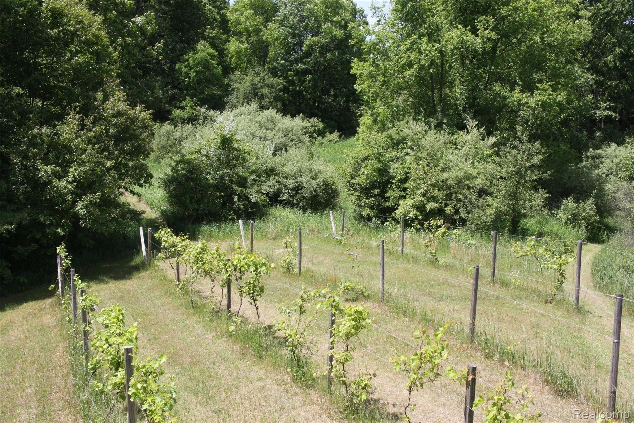 13101 Rattalee Lake Road Davisburg, MI 48350 - Photo 31 of 68 12 - egWo25Z.jpg
