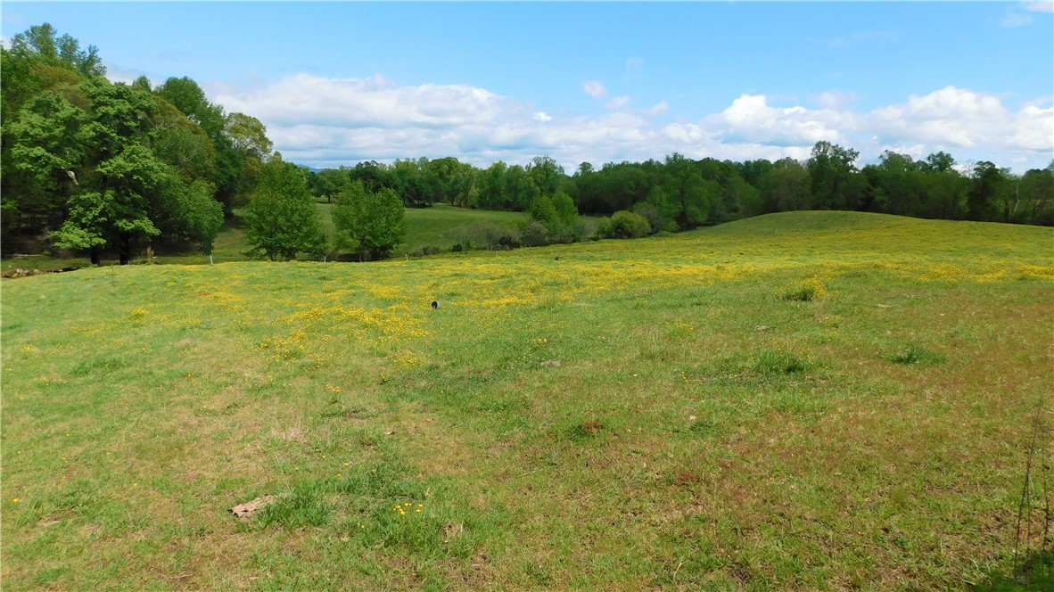861 Tamassee Knob Road Tamassee, SC 29686 - Photo 14 of 14 Gallery Image 14