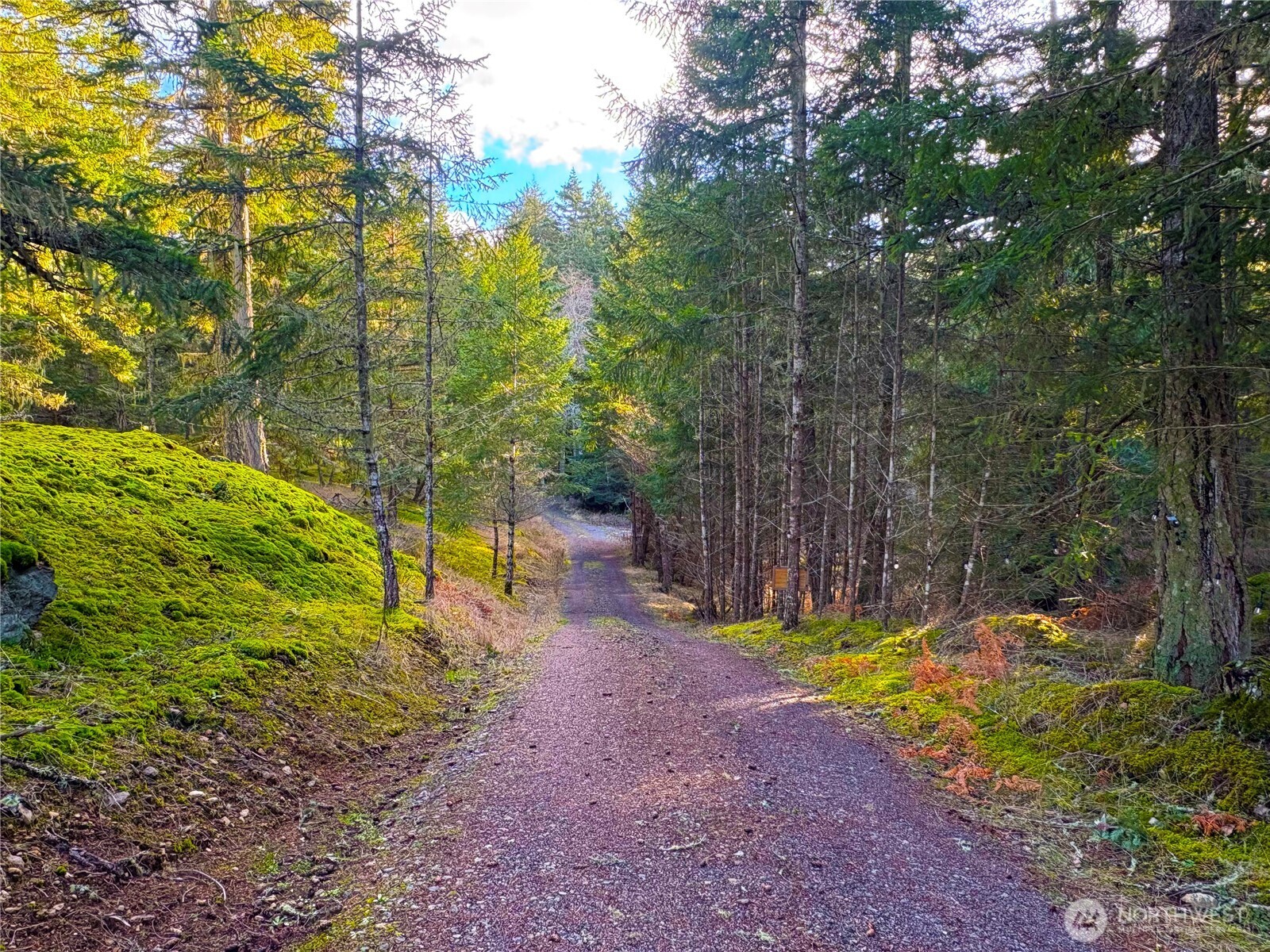 705 Mt Dallas Road Friday Harbor, WA 98250 - Photo 12 of 26 a view of a backyard with swimming pool