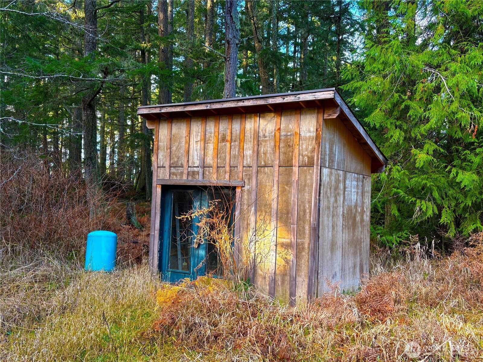 705 Mt Dallas Road Friday Harbor, WA 98250 - Photo 14 of 26 a view of a wooden house with a small yard