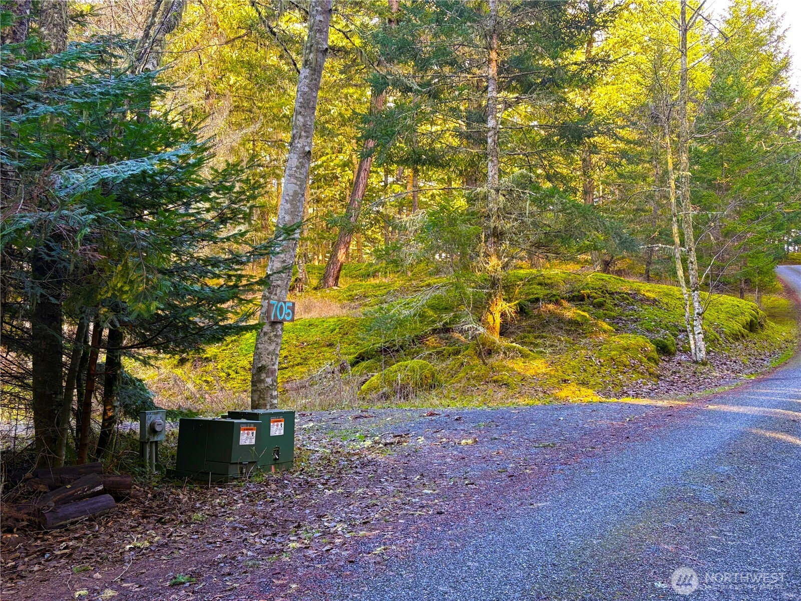 705 Mt Dallas Road Friday Harbor, WA 98250 - Photo 17 of 26 a view of a yard