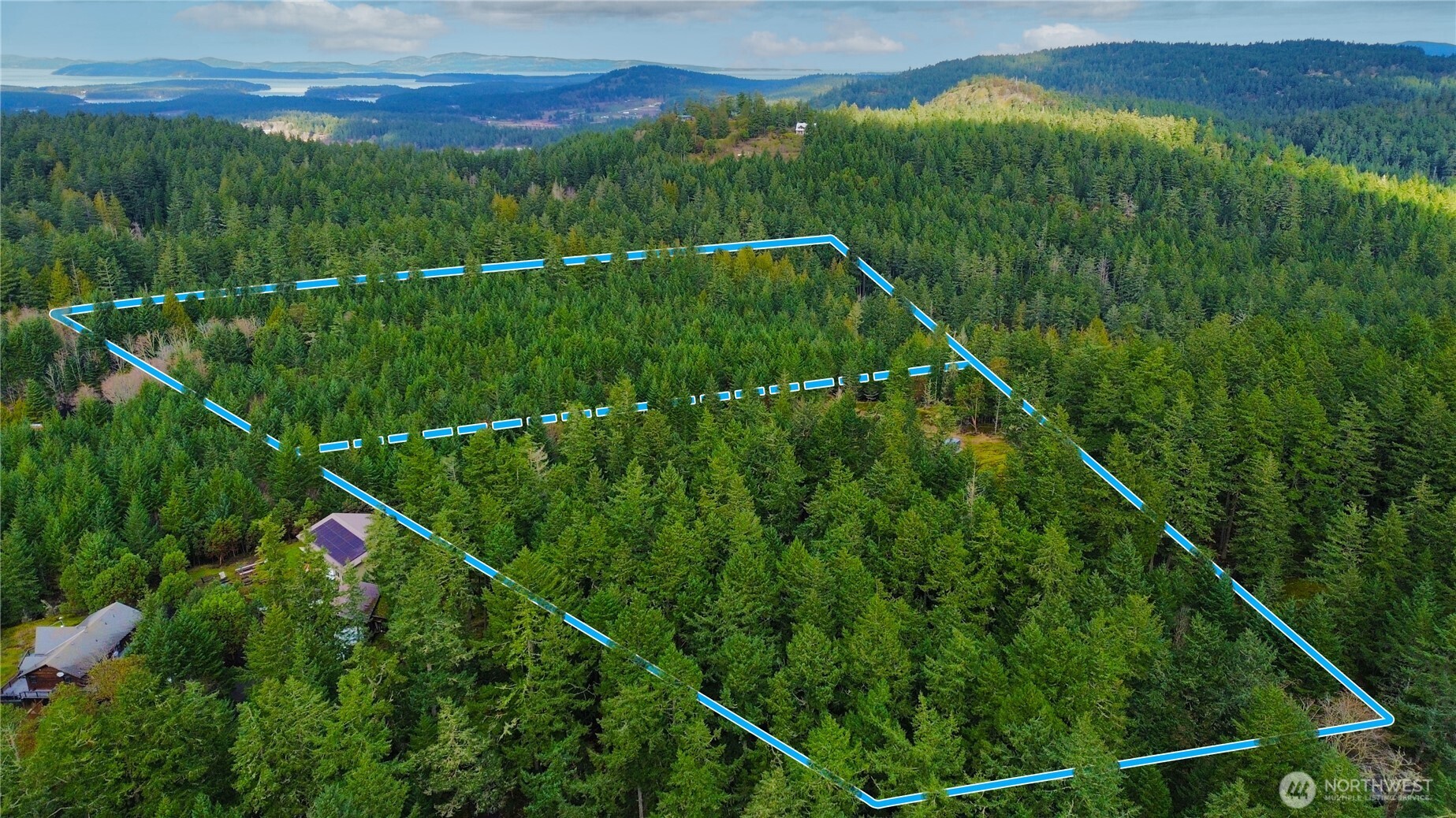 705 Mt Dallas Road Friday Harbor, WA 98250 - Photo 25 of 26 a view of a lush green forest