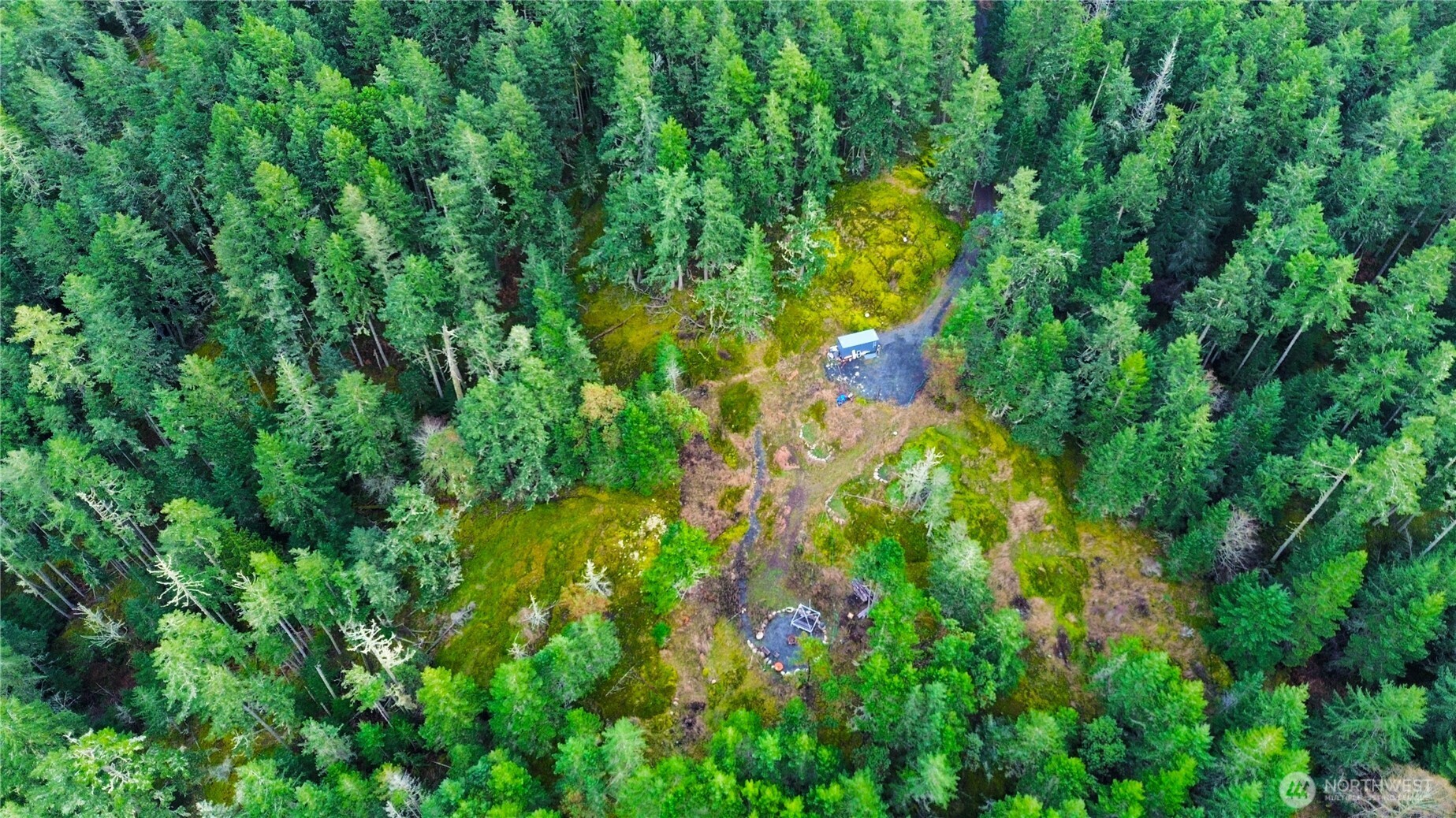 705 Mt Dallas Road Friday Harbor, WA 98250 - Photo 3 of 26 a view of a yard