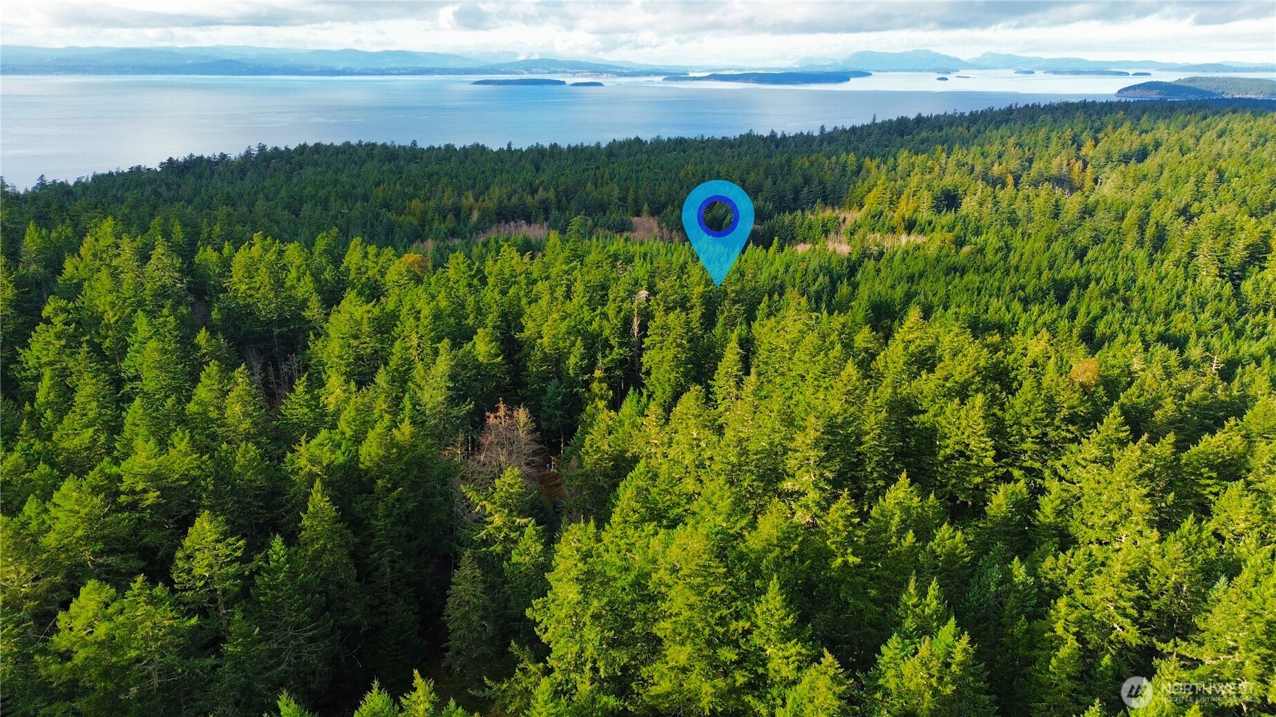 705 Mt Dallas Road Friday Harbor, WA 98250 - Photo 5 of 26 a view of a yard with a lake view