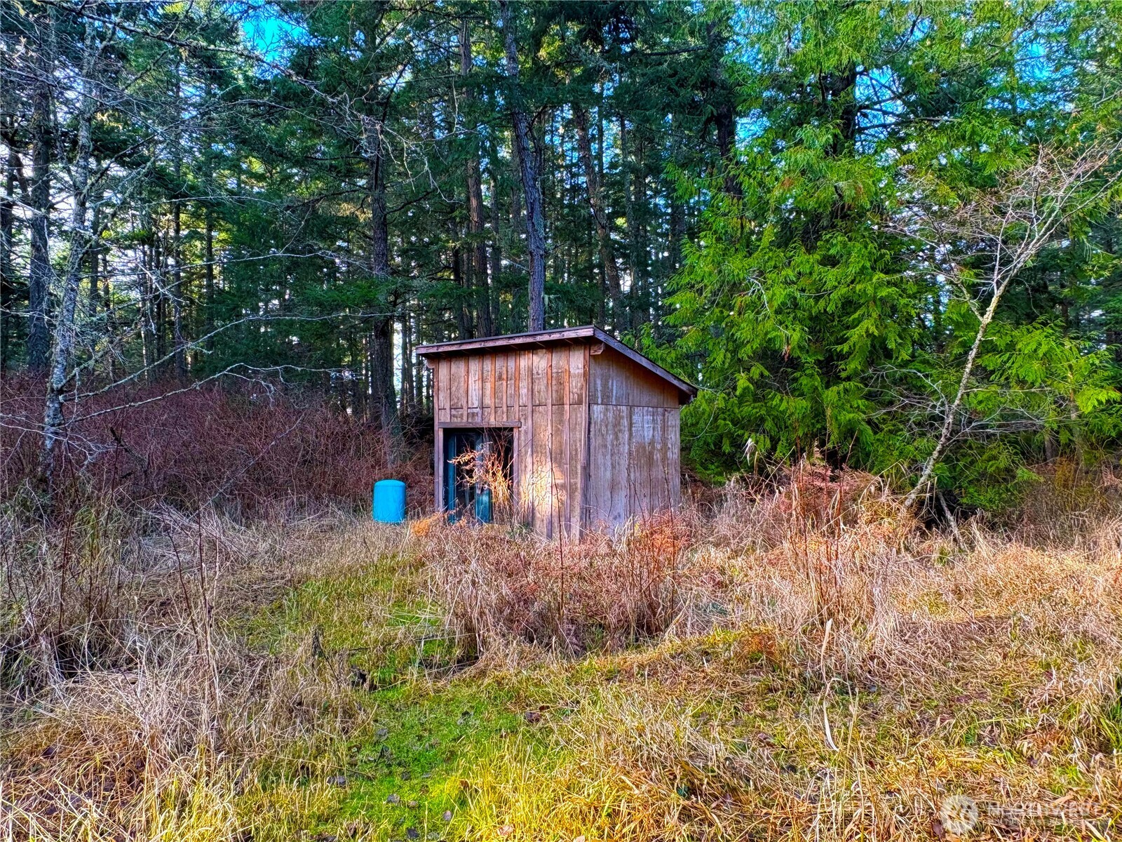 705 Mt Dallas Road Friday Harbor, WA 98250 - Photo 6 of 26 a view of a barn in the middle of a yard
